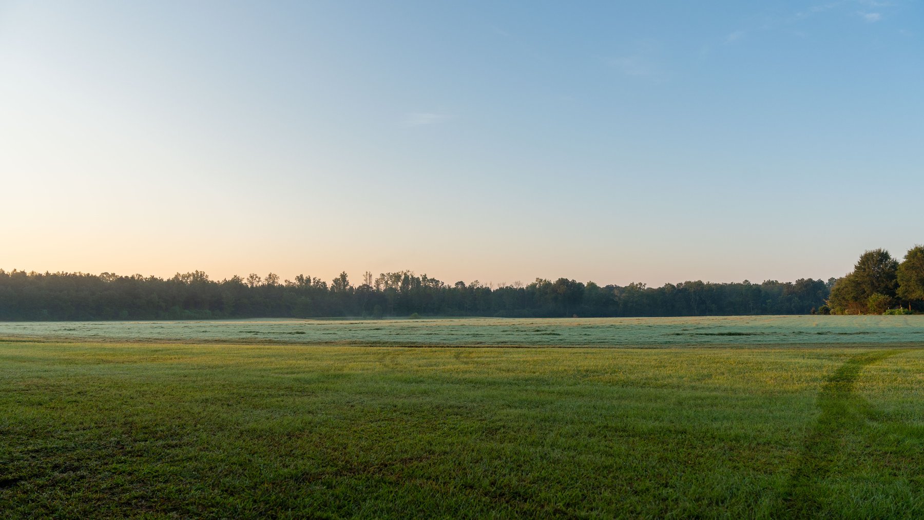 Image for The Massee Post Estate - 75+/- Acres with 6,700+/- Sq. Ft. Luxury Home in Cook County, Georgia