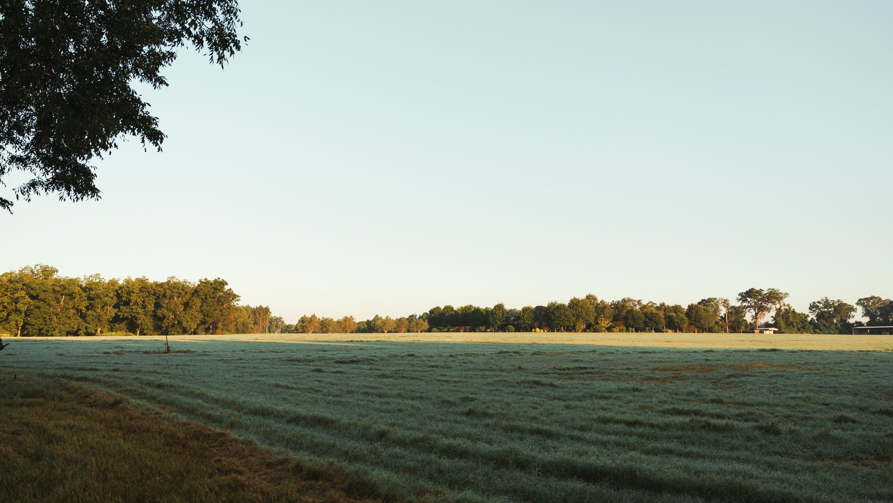 Image for The Massee Post Estate - 75+/- Acres with 6,700+/- Sq. Ft. Luxury Home in Cook County, Georgia