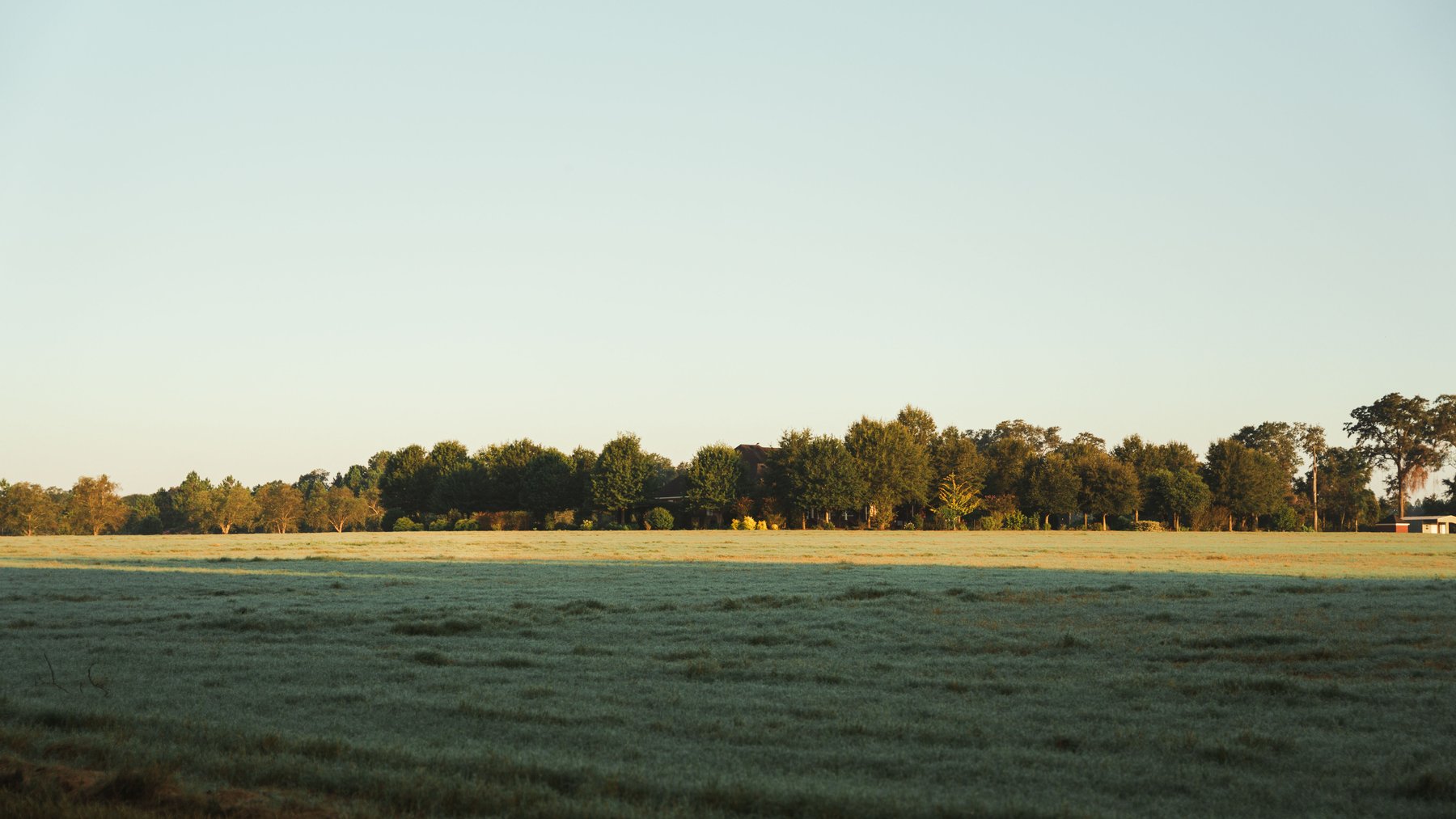 Image for The Massee Post Estate - 75+/- Acres with 6,700+/- Sq. Ft. Luxury Home in Cook County, Georgia