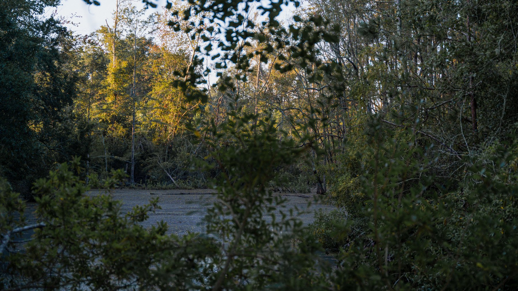 Image for The Massee Post Estate - 75+/- Acres with 6,700+/- Sq. Ft. Luxury Home in Cook County, Georgia