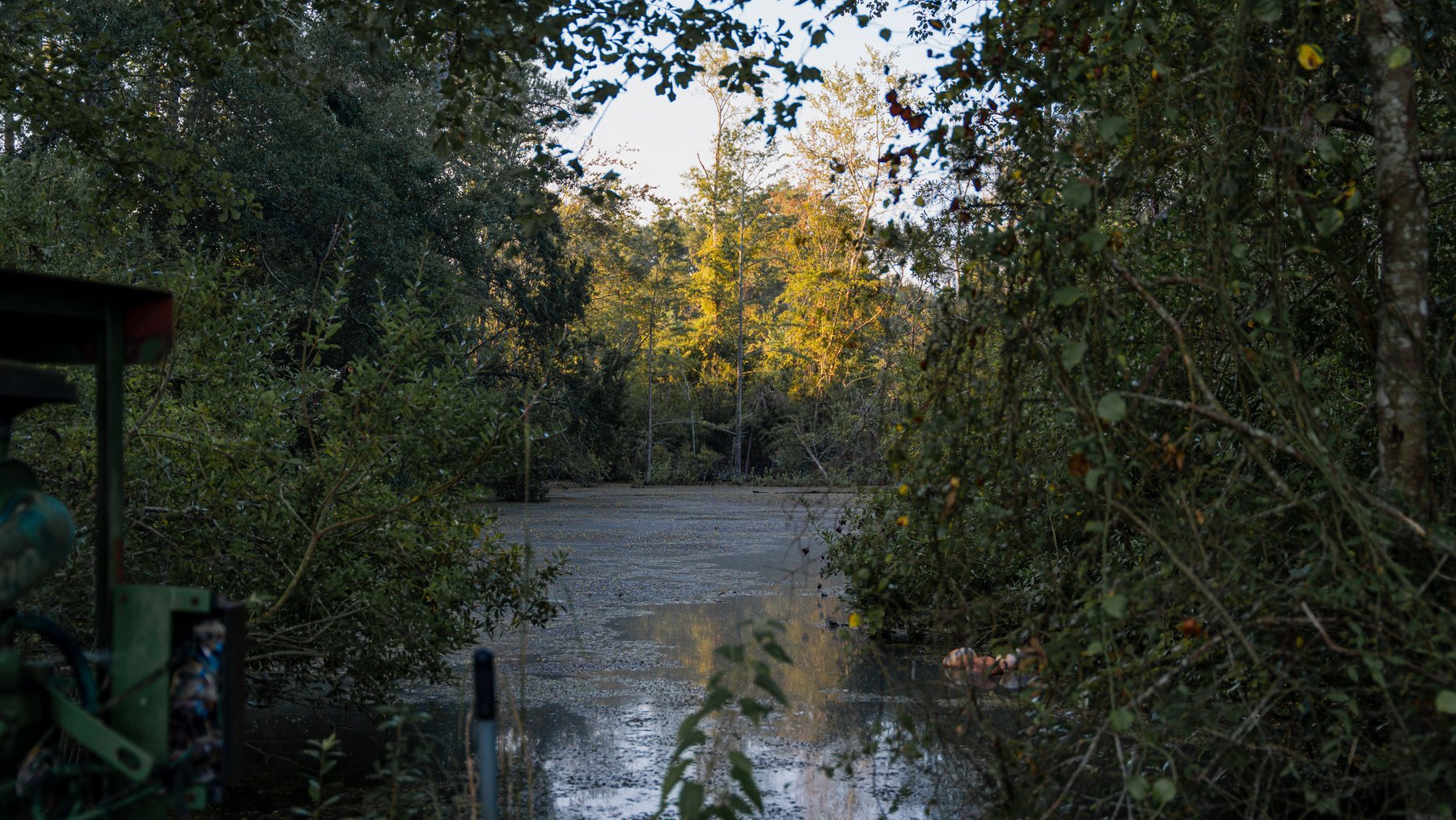 Image for The Massee Post Estate - 75+/- Acres with 6,700+/- Sq. Ft. Luxury Home in Cook County, Georgia