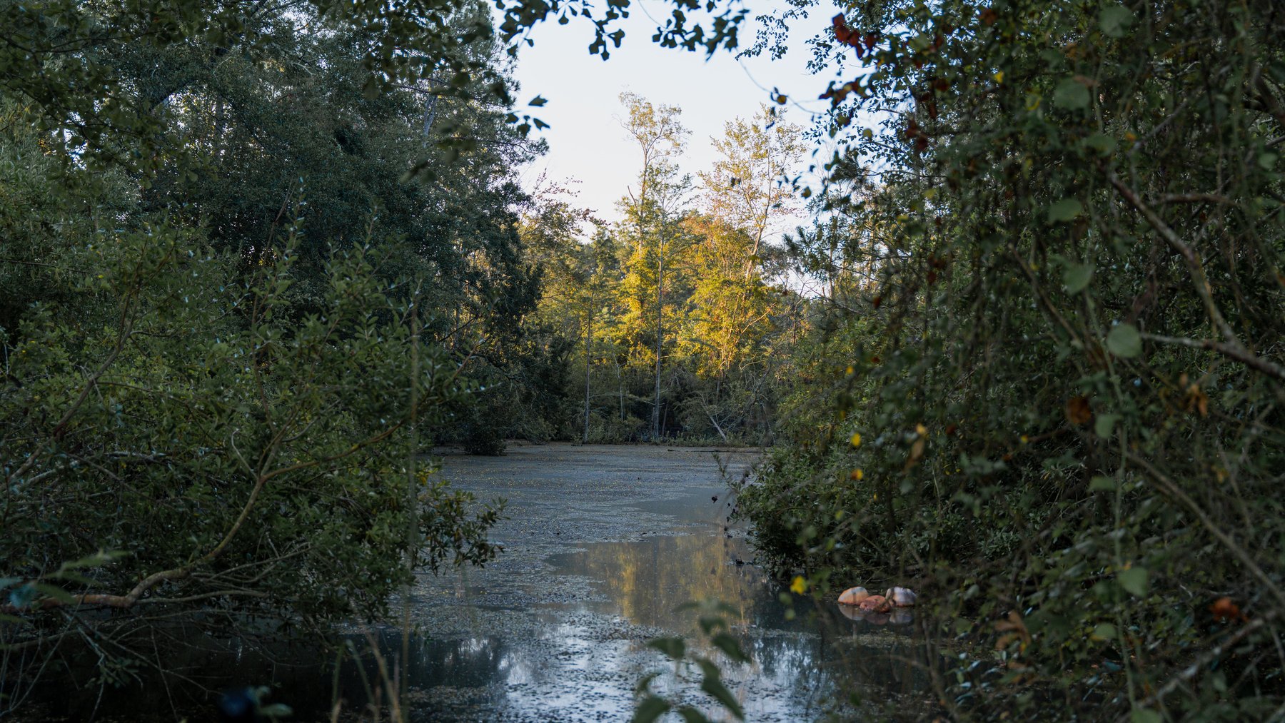 Image for The Massee Post Estate - 75+/- Acres with 6,700+/- Sq. Ft. Luxury Home in Cook County, Georgia