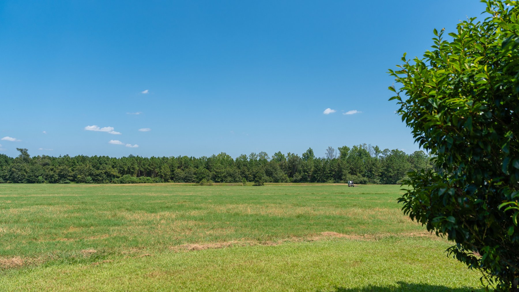 Image for The Massee Post Estate - 75+/- Acres with 6,700+/- Sq. Ft. Luxury Home in Cook County, Georgia