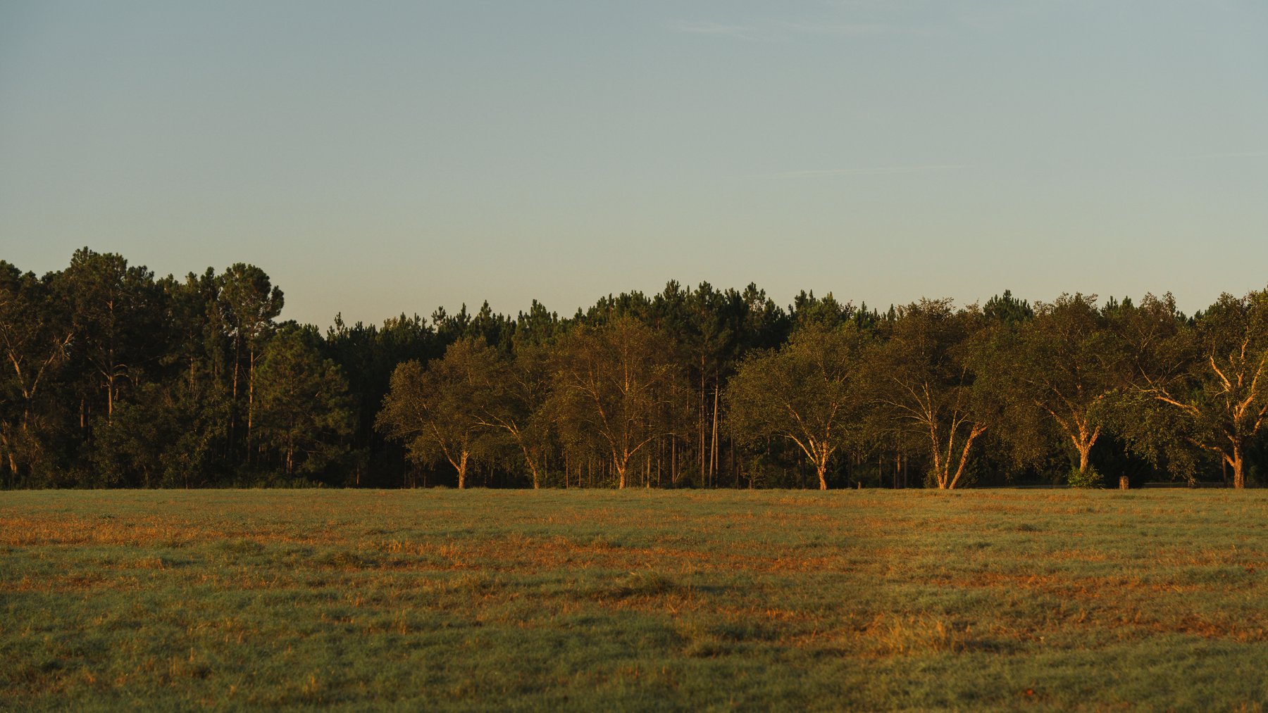 Image for The Massee Post Estate - 75+/- Acres with 6,700+/- Sq. Ft. Luxury Home in Cook County, Georgia