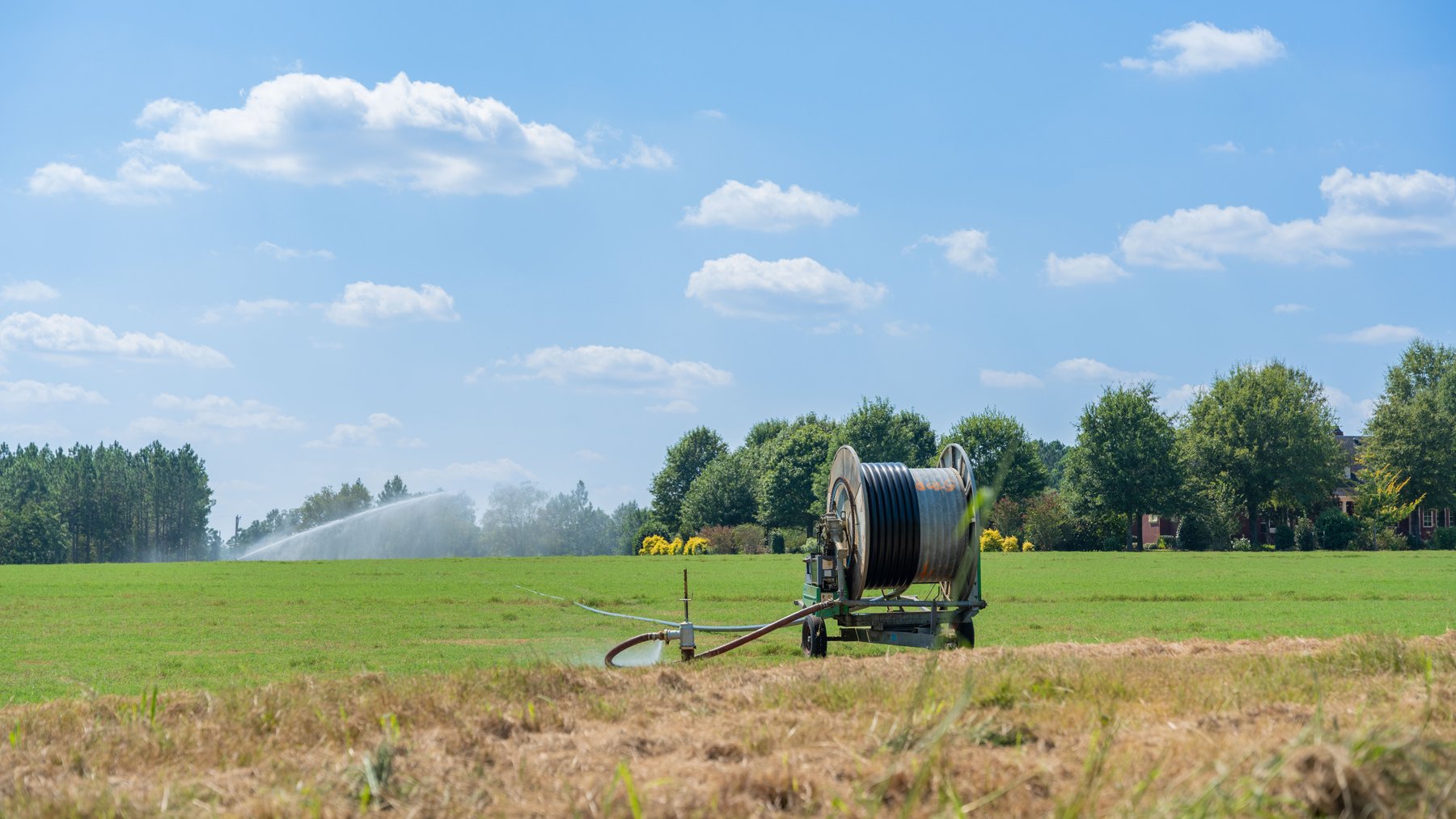 Image for The Massee Post Estate - 75+/- Acres with 6,700+/- Sq. Ft. Luxury Home in Cook County, Georgia