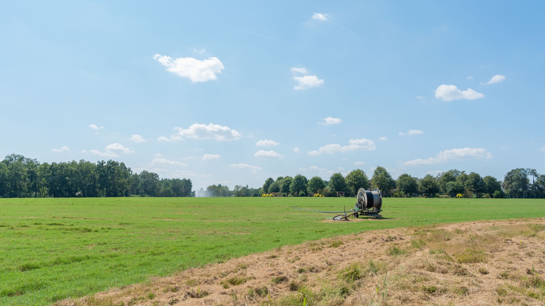 Image for The Massee Post Estate - 75+/- Acres with 6,700+/- Sq. Ft. Luxury Home in Cook County, Georgia