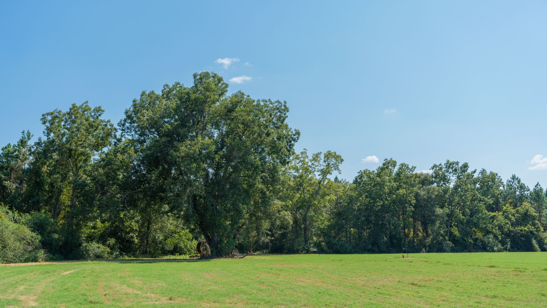 Image for The Massee Post Estate - 75+/- Acres with 6,700+/- Sq. Ft. Luxury Home in Cook County, Georgia