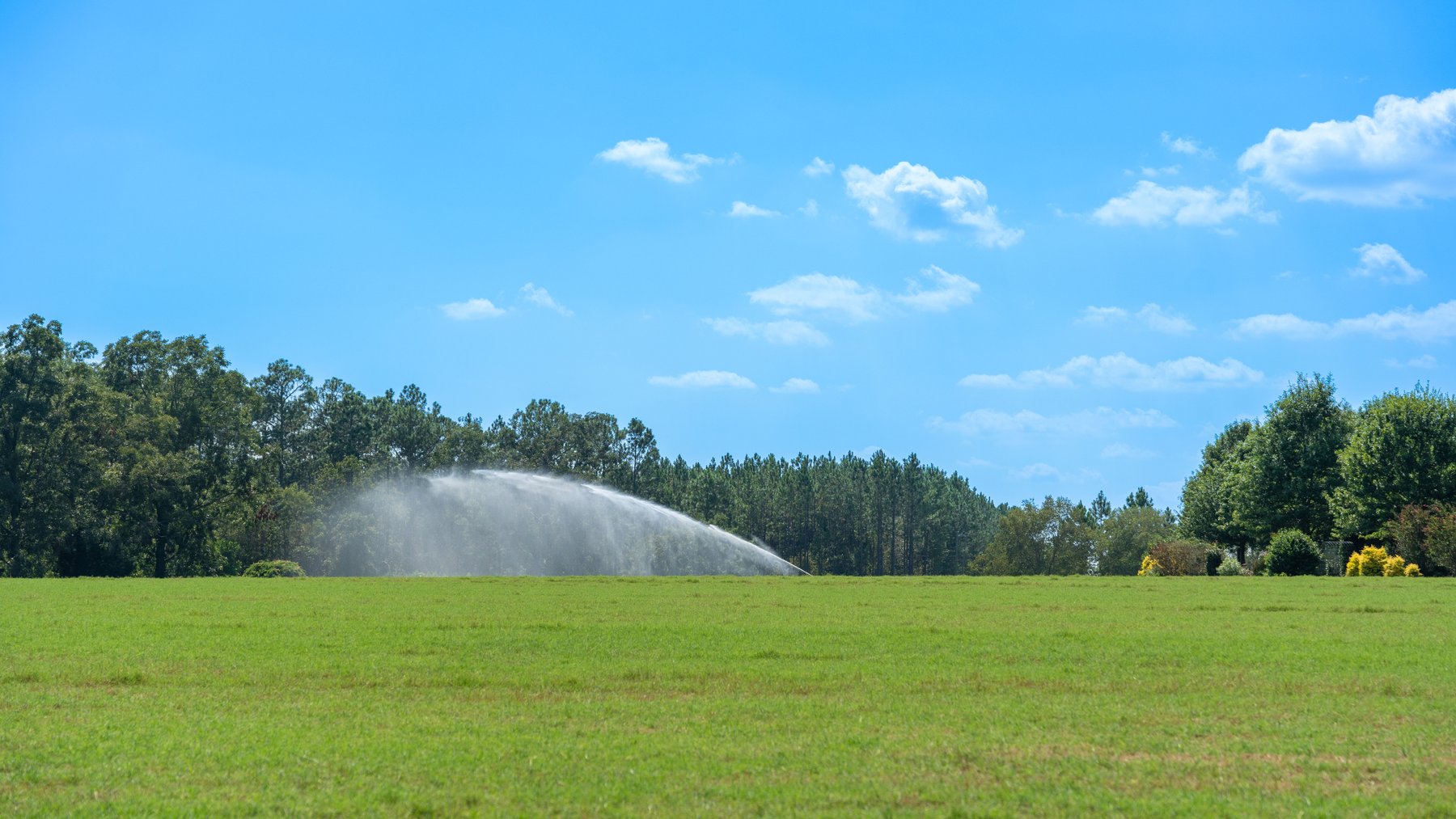 Image for The Massee Post Estate - 75+/- Acres with 6,700+/- Sq. Ft. Luxury Home in Cook County, Georgia