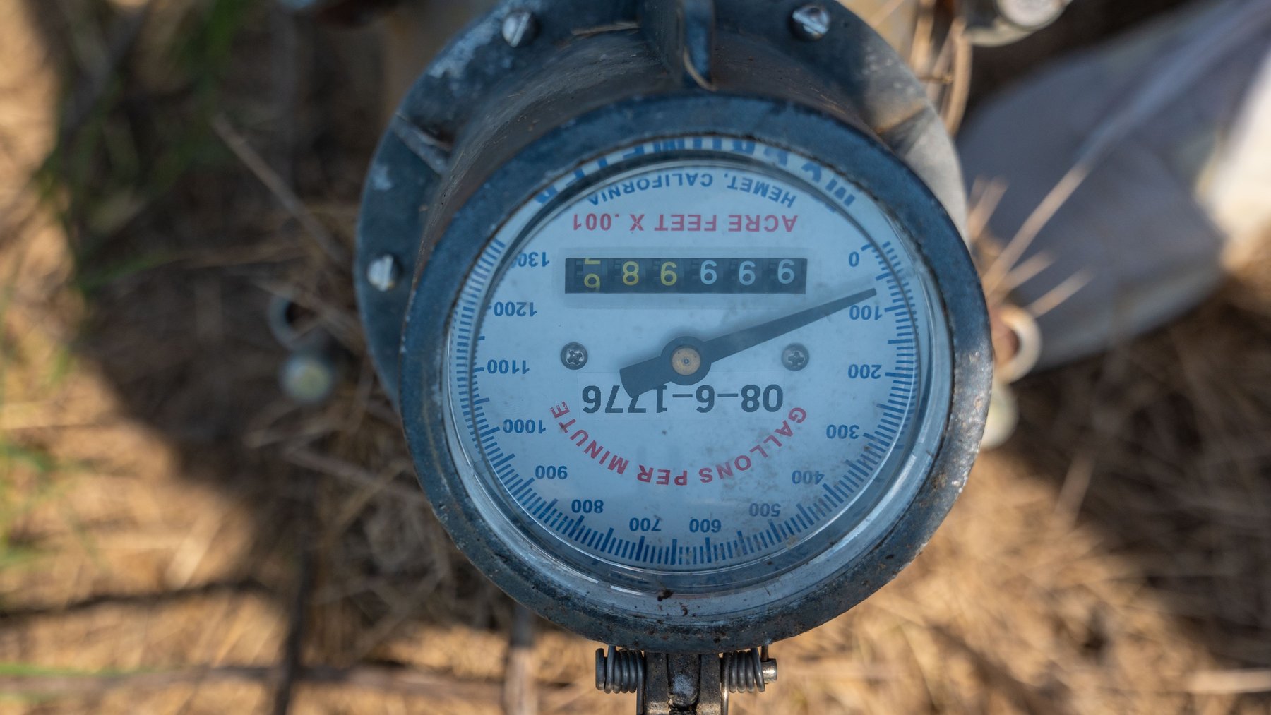 Image for The Massee Post Estate - 75+/- Acres with 6,700+/- Sq. Ft. Luxury Home in Cook County, Georgia