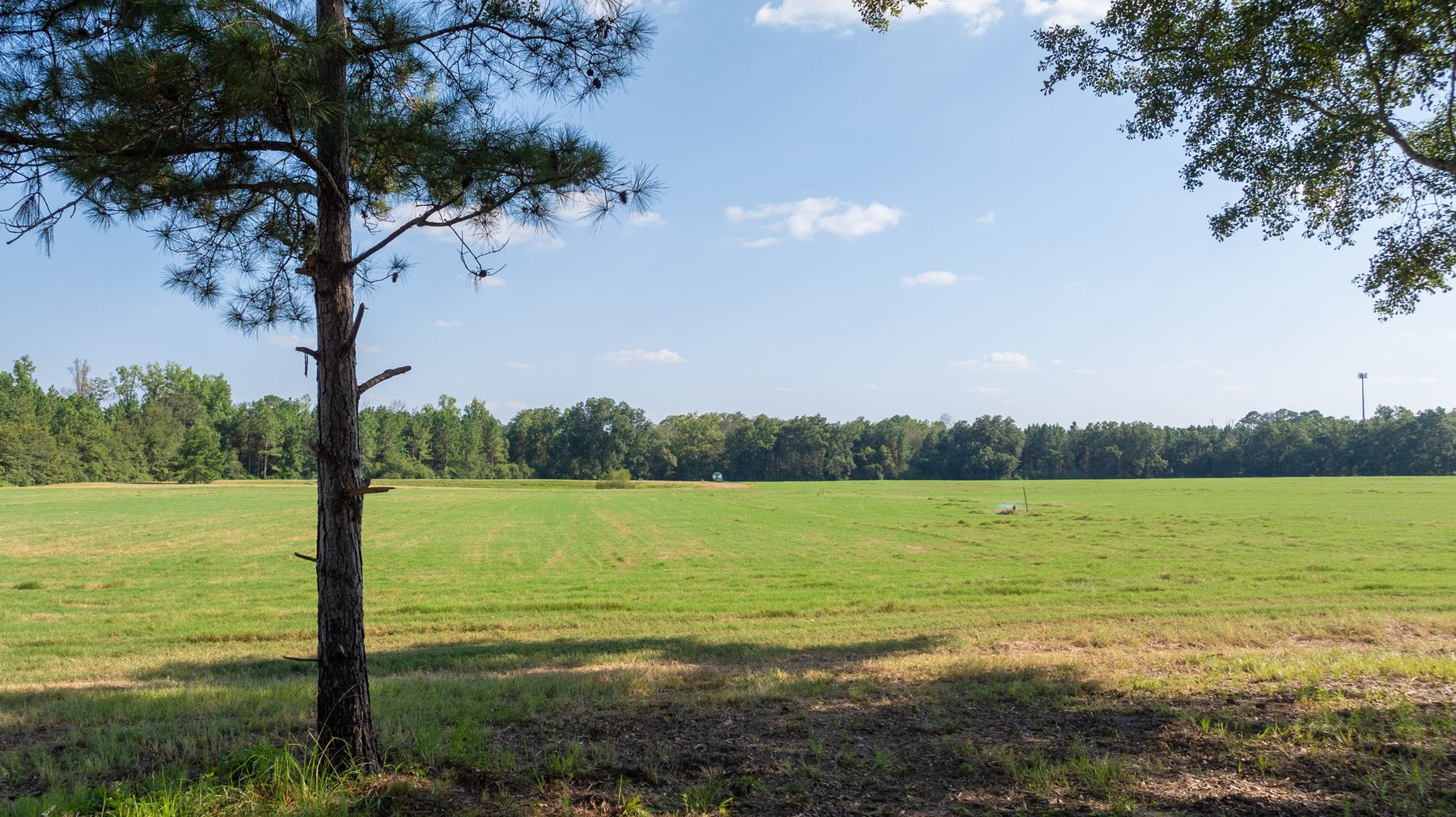 Image for The Massee Post Estate - 75+/- Acres with 6,700+/- Sq. Ft. Luxury Home in Cook County, Georgia