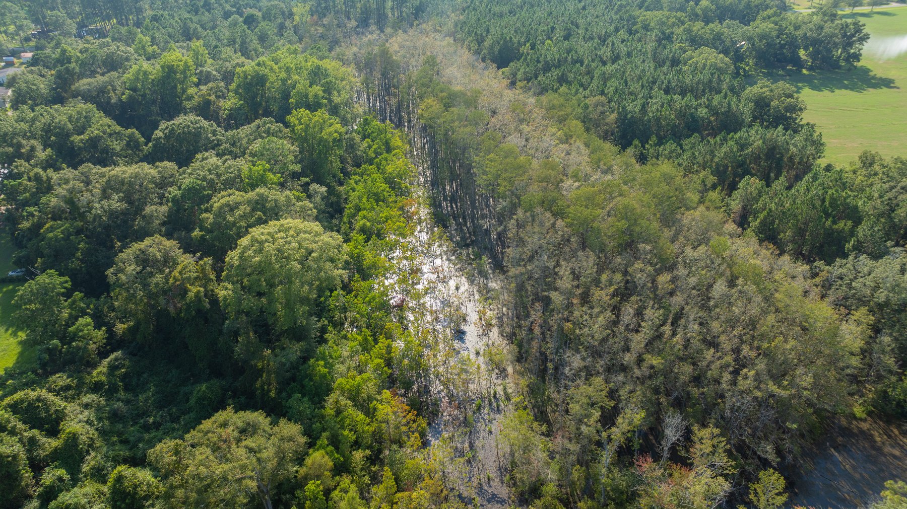 Image for The Massee Post Estate - 75+/- Acres with 6,700+/- Sq. Ft. Luxury Home in Cook County, Georgia