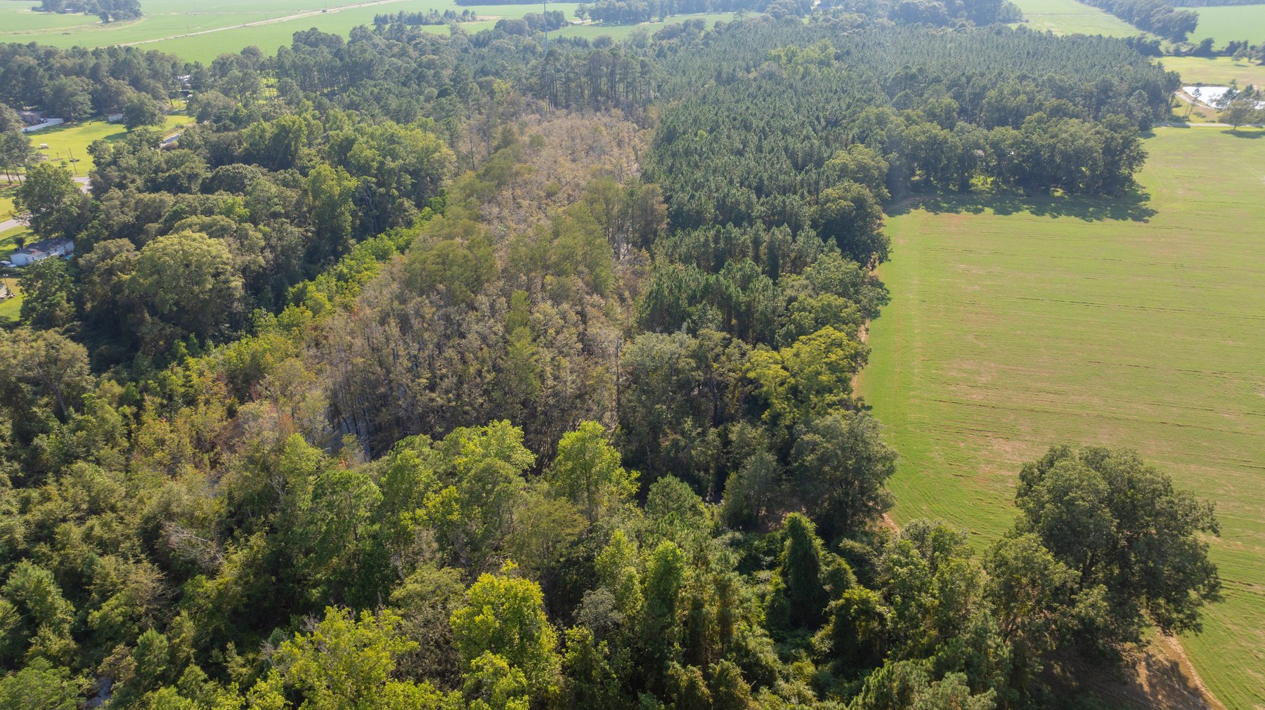 Image for The Massee Post Estate - 75+/- Acres with 6,700+/- Sq. Ft. Luxury Home in Cook County, Georgia