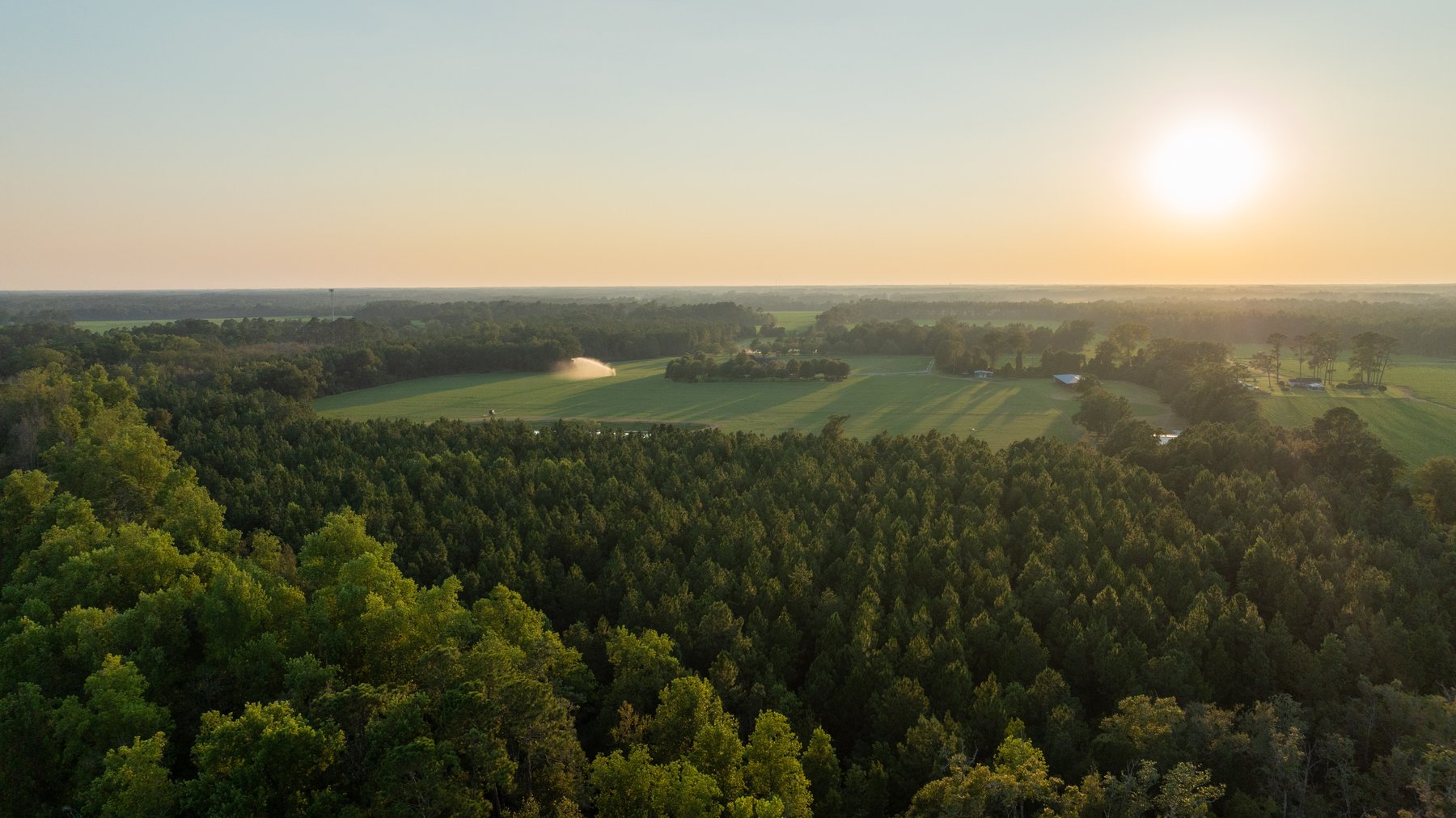 Image for The Massee Post Estate - 75+/- Acres with 6,700+/- Sq. Ft. Luxury Home in Cook County, Georgia