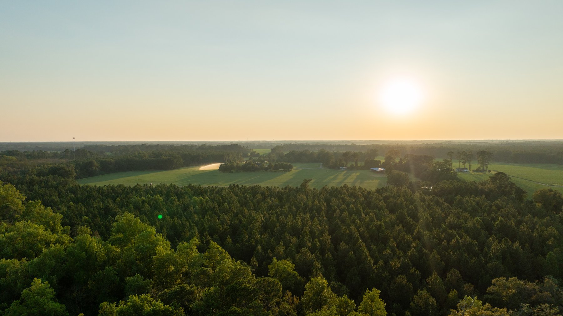 Image for The Massee Post Estate - 75+/- Acres with 6,700+/- Sq. Ft. Luxury Home in Cook County, Georgia