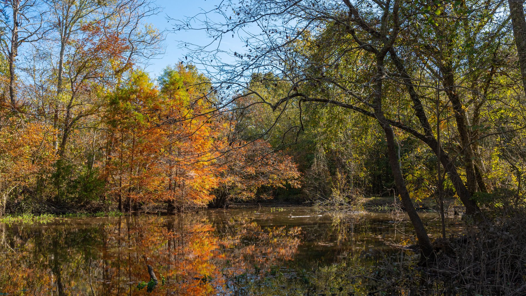 Image for The Hinson Farm – 191+/- Acres - Recreational Paradise with Income-Producing Potential in Dodge County, GA