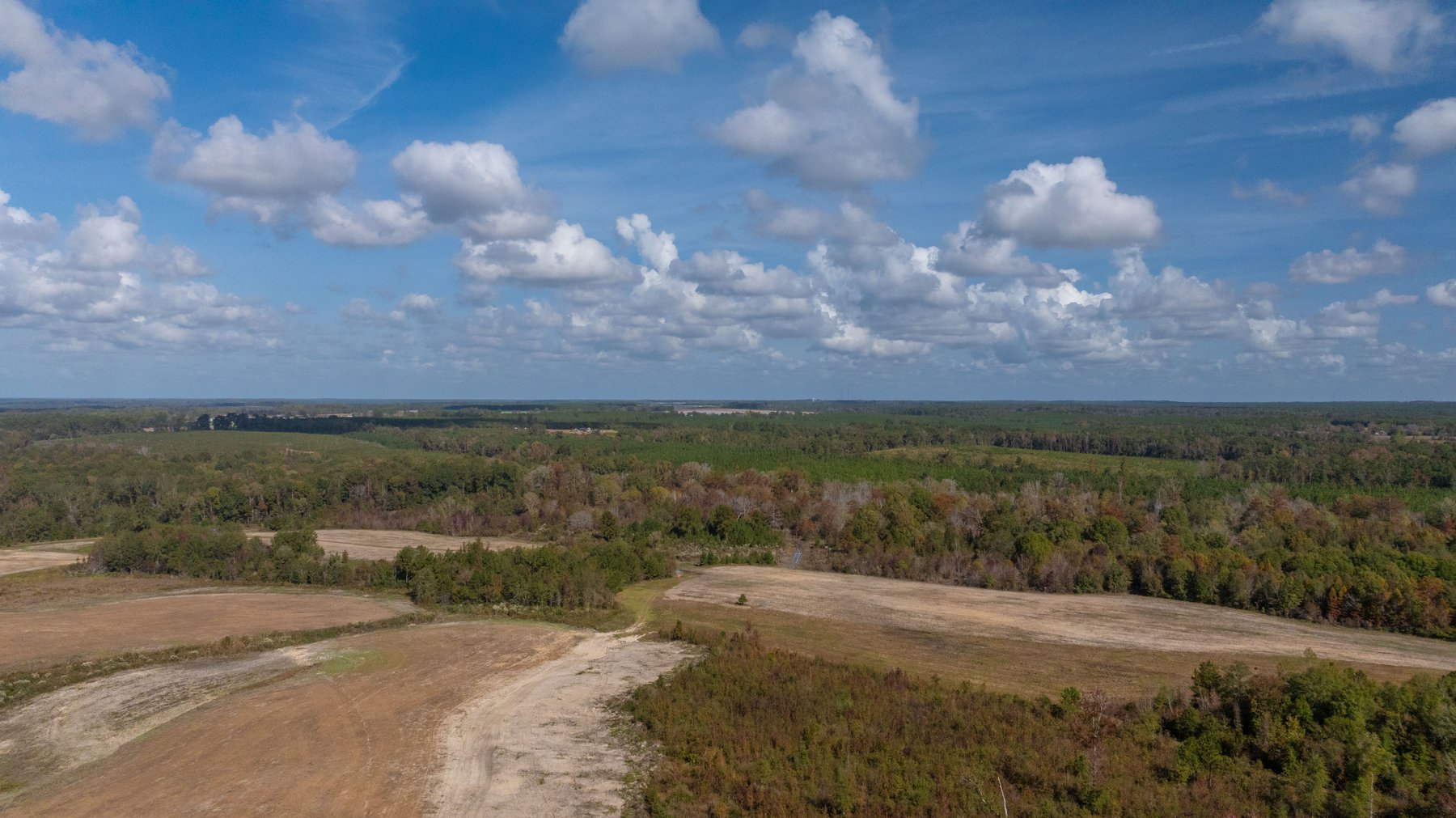 Image for The Hinson Farm – 191+/- Acres - Recreational Paradise with Income-Producing Potential in Dodge County, GA