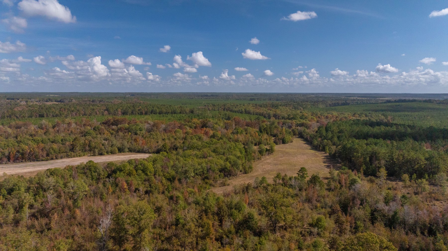 Image for The Hinson Farm – 191+/- Acres - Recreational Paradise with Income-Producing Potential in Dodge County, GA