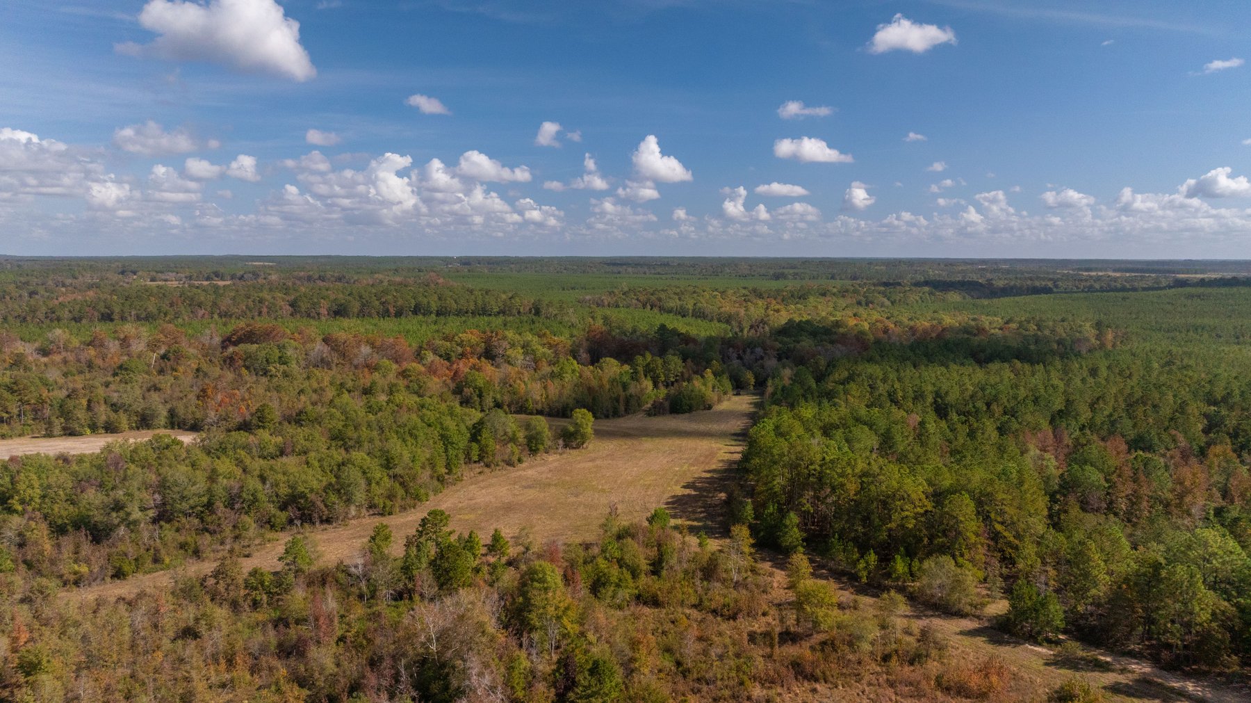 Image for The Hinson Farm – 191+/- Acres - Recreational Paradise with Income-Producing Potential in Dodge County, GA