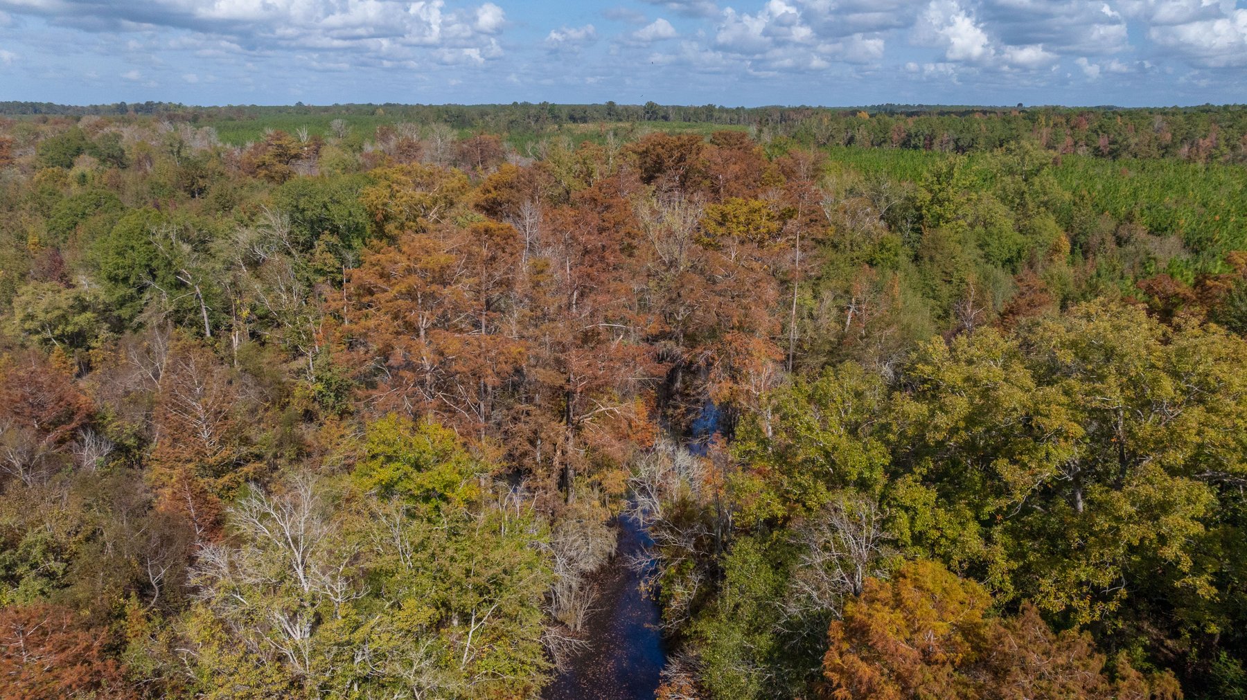 Image for The Hinson Farm – 191+/- Acres - Recreational Paradise with Income-Producing Potential in Dodge County, GA