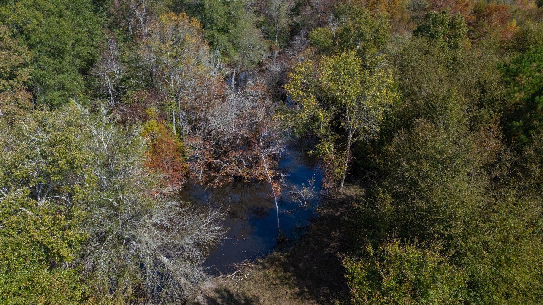 Image for The Hinson Farm – 191+/- Acres - Recreational Paradise with Income-Producing Potential in Dodge County, GA