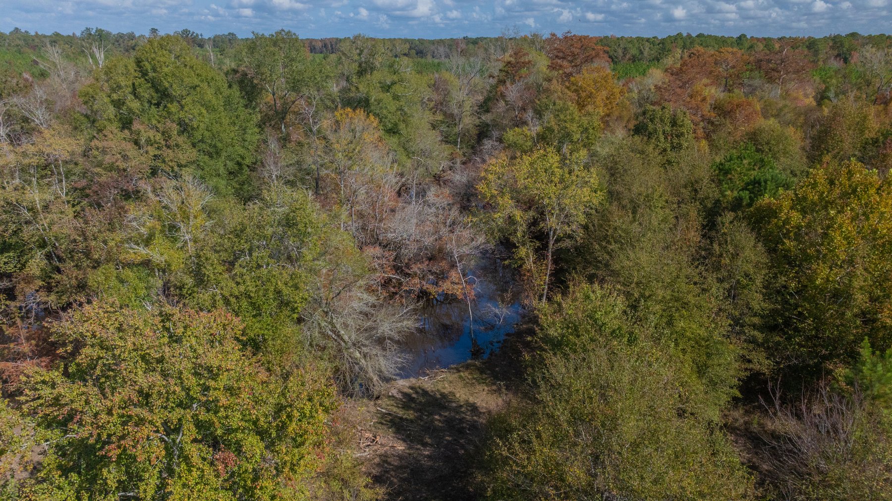 Image for The Hinson Farm – 191+/- Acres - Recreational Paradise with Income-Producing Potential in Dodge County, GA