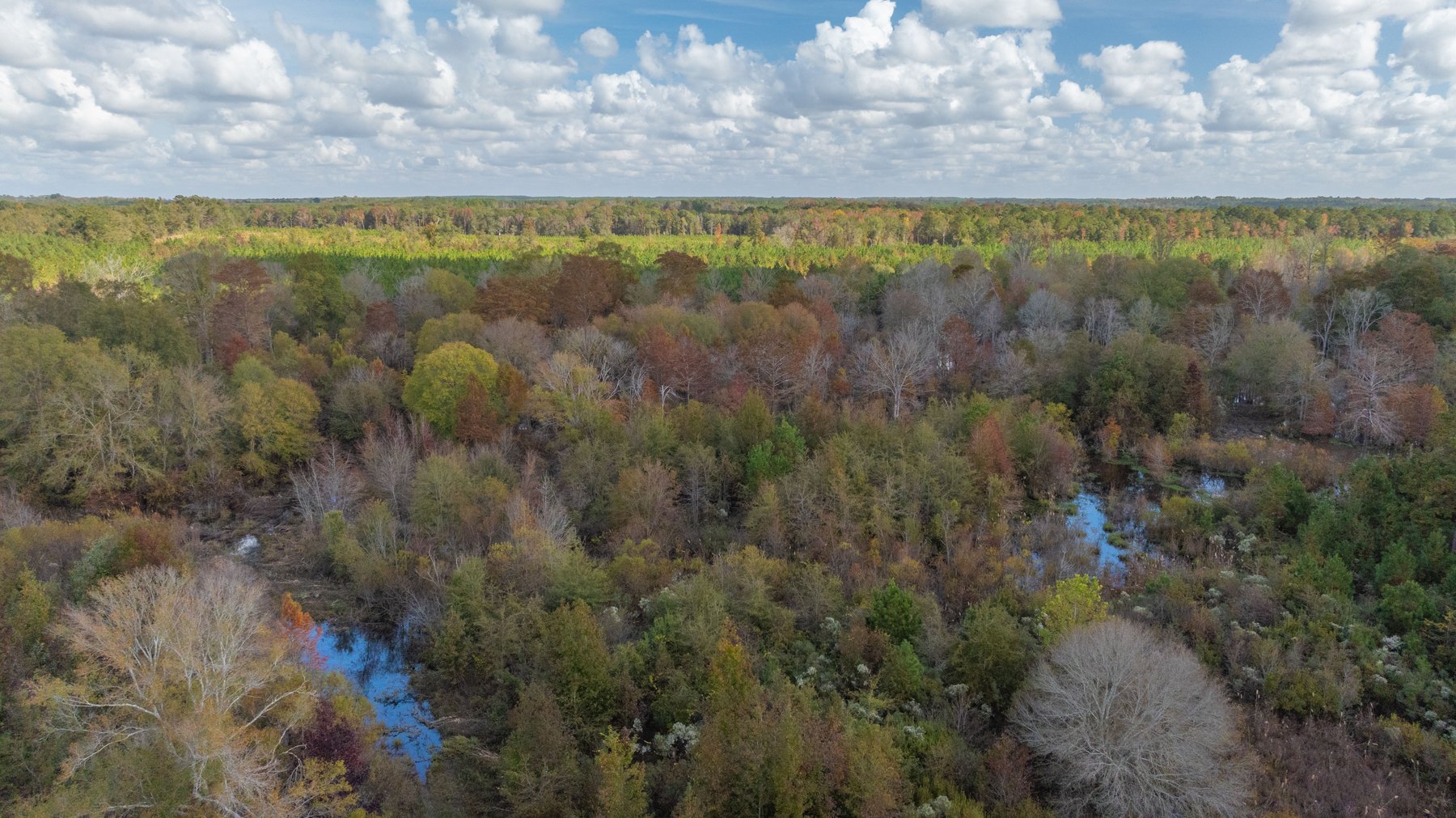 Image for The Hinson Farm – 191+/- Acres - Recreational Paradise with Income-Producing Potential in Dodge County, GA