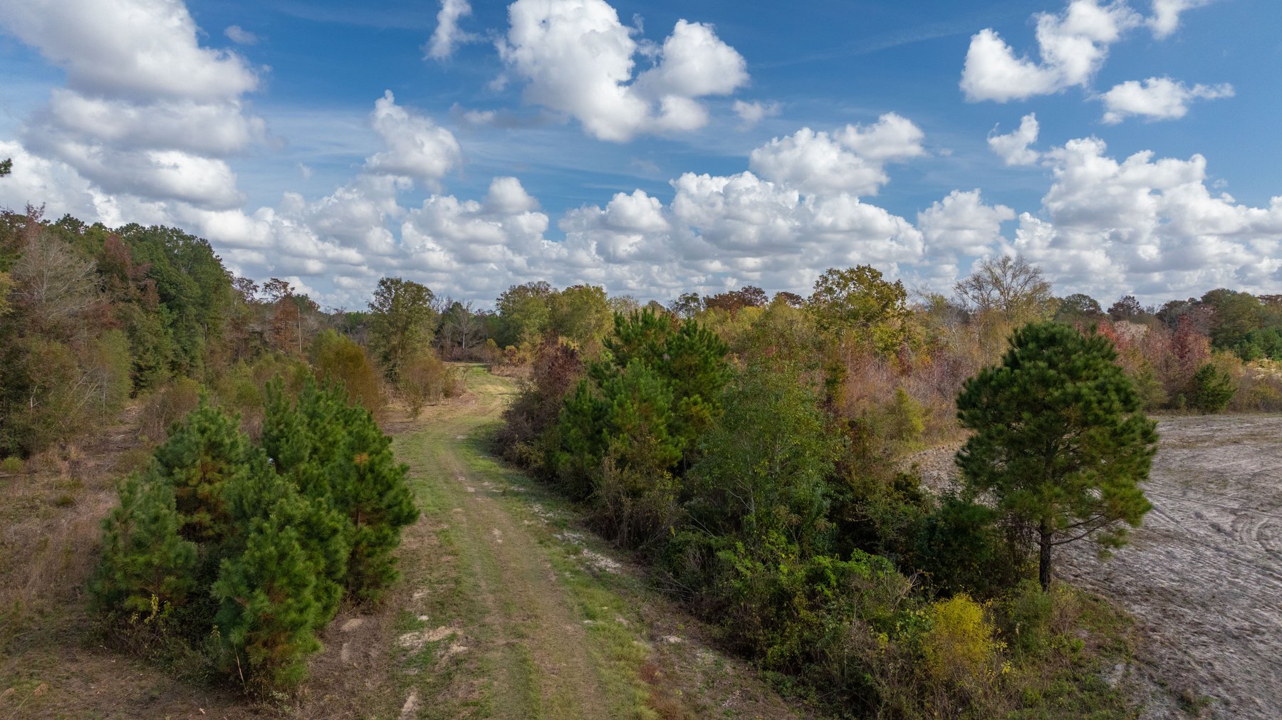 Image for The Hinson Farm – 191+/- Acres - Recreational Paradise with Income-Producing Potential in Dodge County, GA