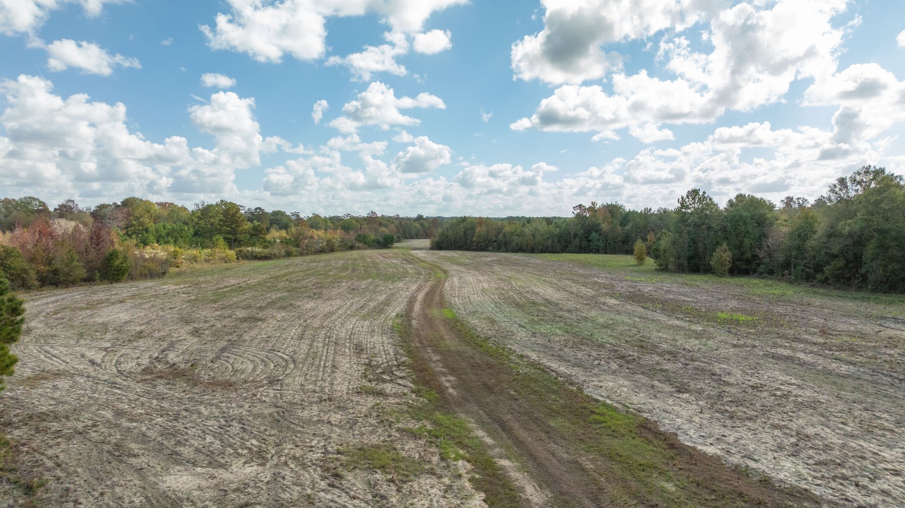 Image for The Hinson Farm – 191+/- Acres - Recreational Paradise with Income-Producing Potential in Dodge County, GA