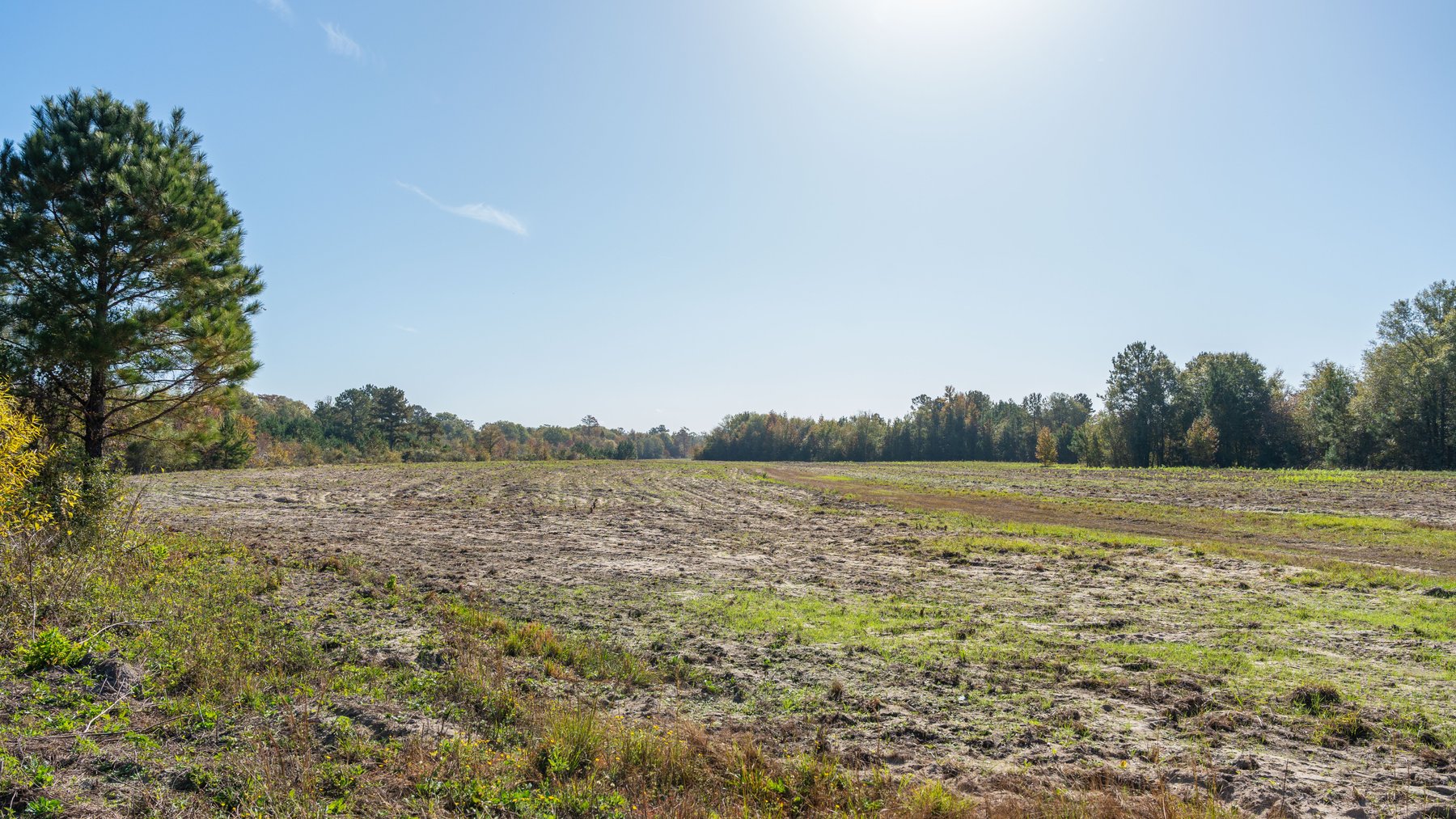 Image for The Hinson Farm – 191+/- Acres - Recreational Paradise with Income-Producing Potential in Dodge County, GA