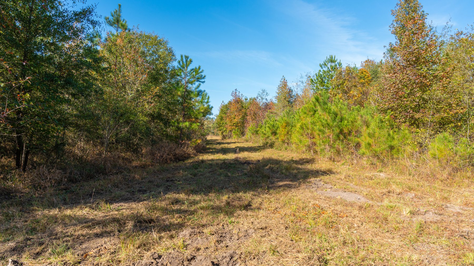 Image for The Hinson Farm – 191+/- Acres - Recreational Paradise with Income-Producing Potential in Dodge County, GA