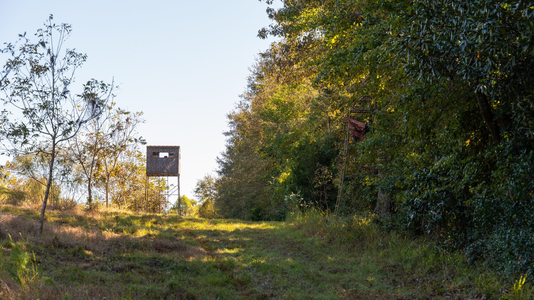 Image for 170+/- Acres - Musgrove Estate - Turn-Key Pecan Operation - Sportsman's Paradise