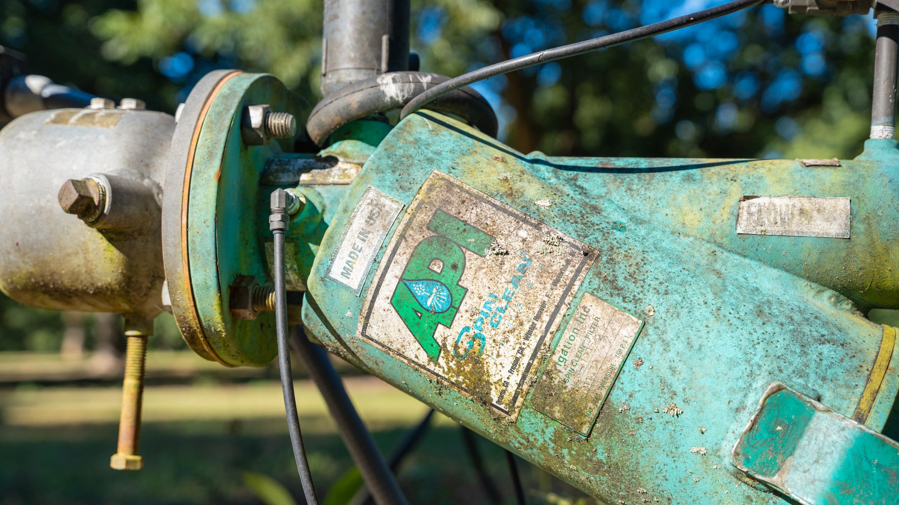 Image for 170+/- Acres - Musgrove Estate - Turn-Key Pecan Operation - Sportsman's Paradise