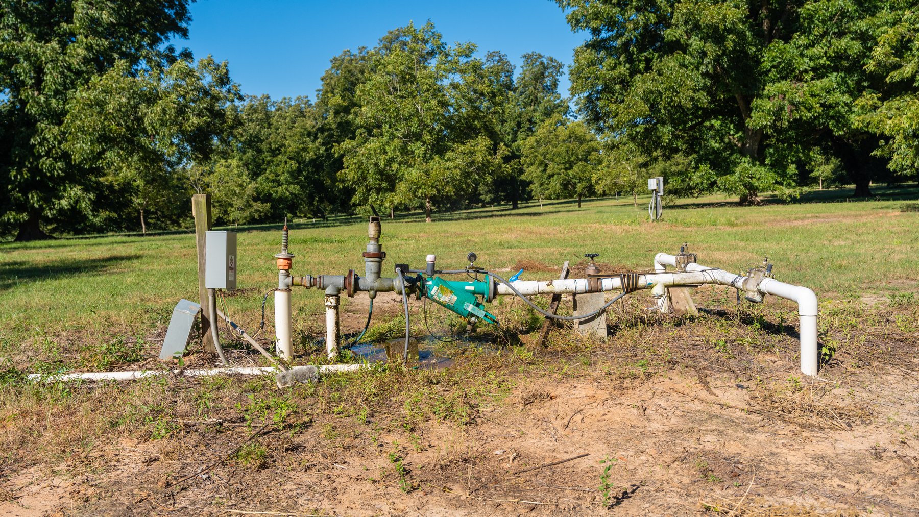 Image for 170+/- Acres - Musgrove Estate - Turn-Key Pecan Operation - Sportsman's Paradise