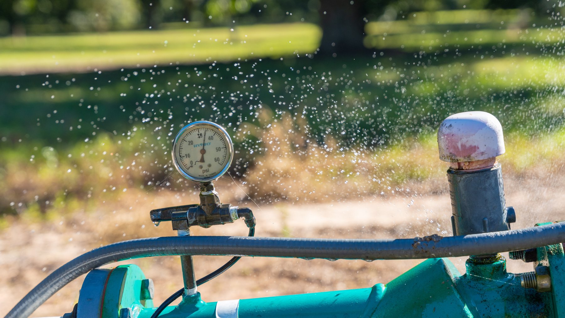 Image for 170+/- Acres - Musgrove Estate - Turn-Key Pecan Operation - Sportsman's Paradise