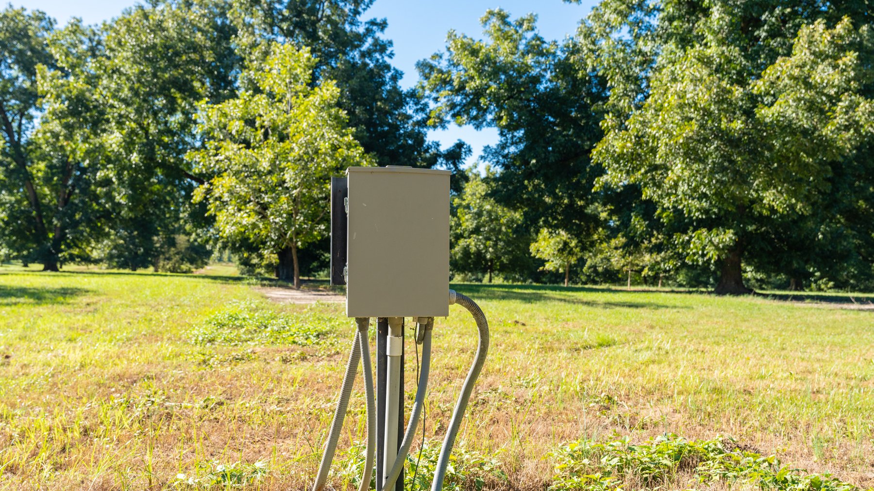 Image for 170+/- Acres - Musgrove Estate - Turn-Key Pecan Operation - Sportsman's Paradise