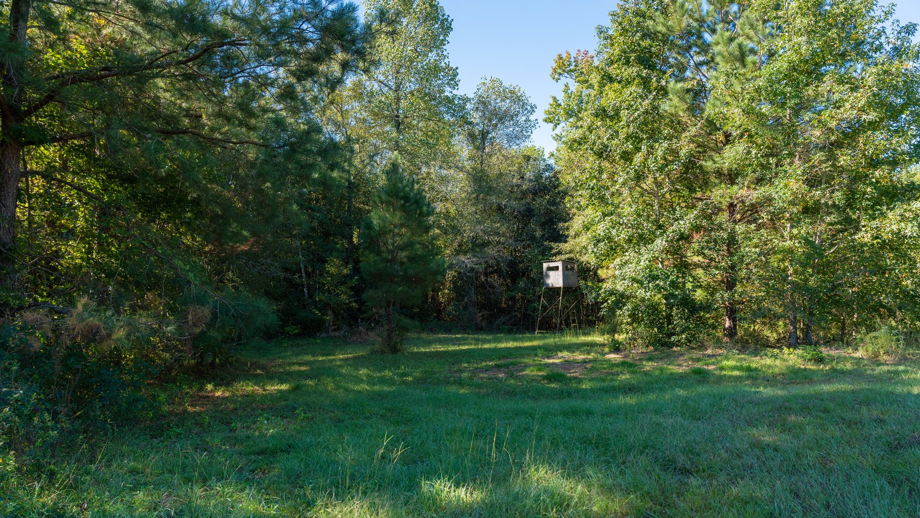 Image for 170+/- Acres - Musgrove Estate - Turn-Key Pecan Operation - Sportsman's Paradise