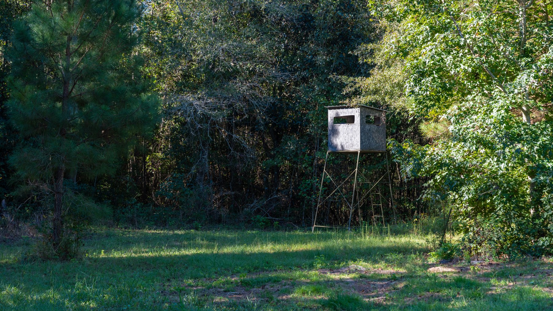 Image for 170+/- Acres - Musgrove Estate - Turn-Key Pecan Operation - Sportsman's Paradise