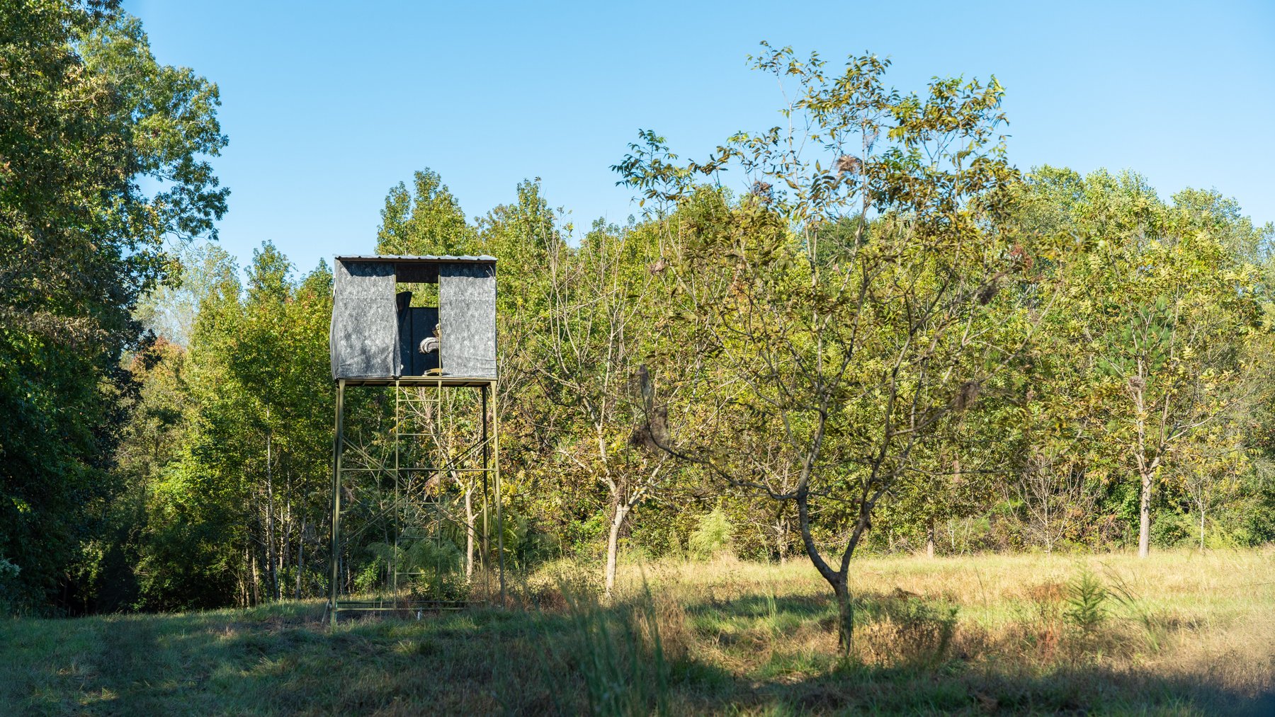 Image for 170+/- Acres - Musgrove Estate - Turn-Key Pecan Operation - Sportsman's Paradise