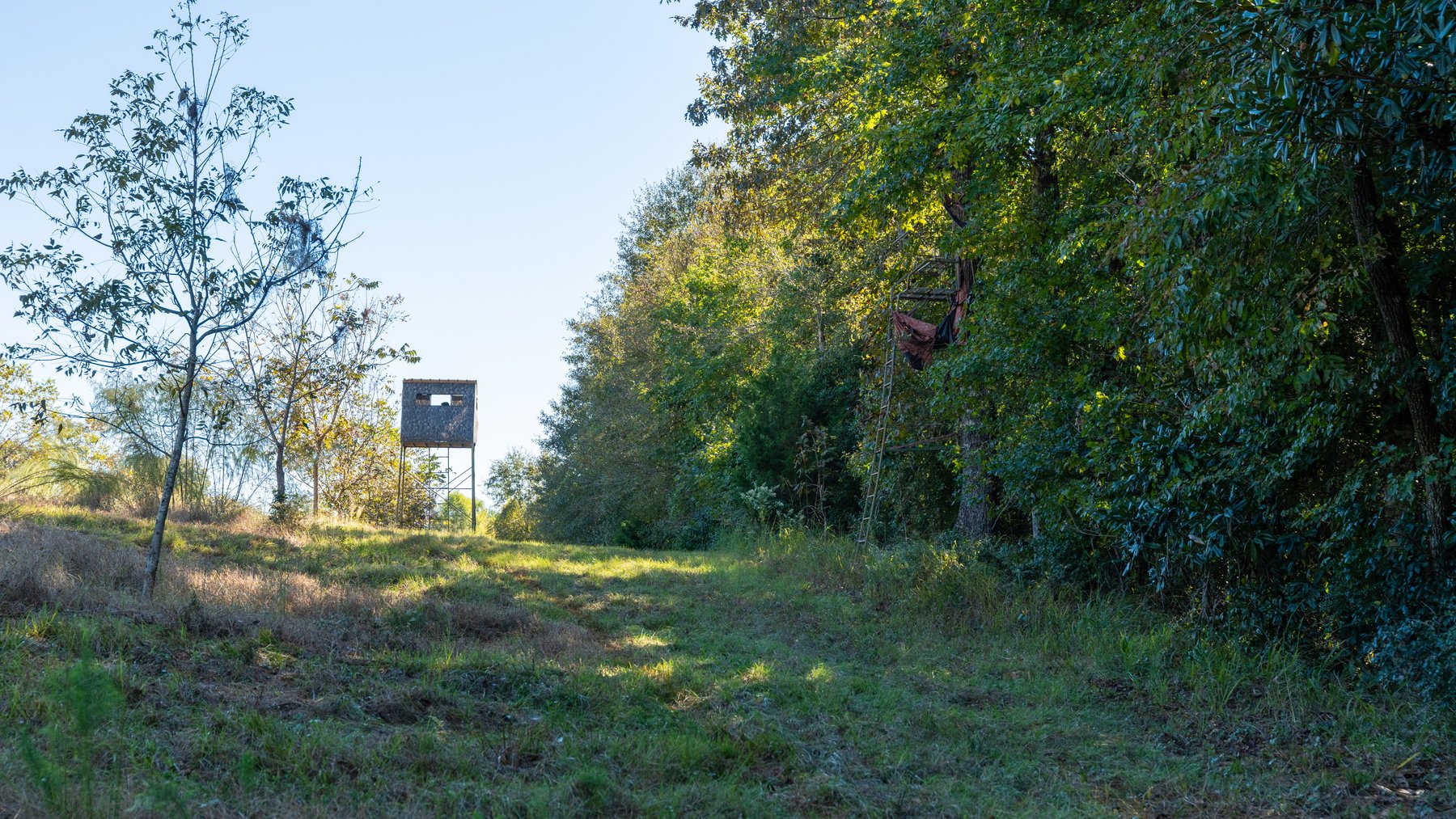 Image for 170+/- Acres - Musgrove Estate - Turn-Key Pecan Operation - Sportsman's Paradise