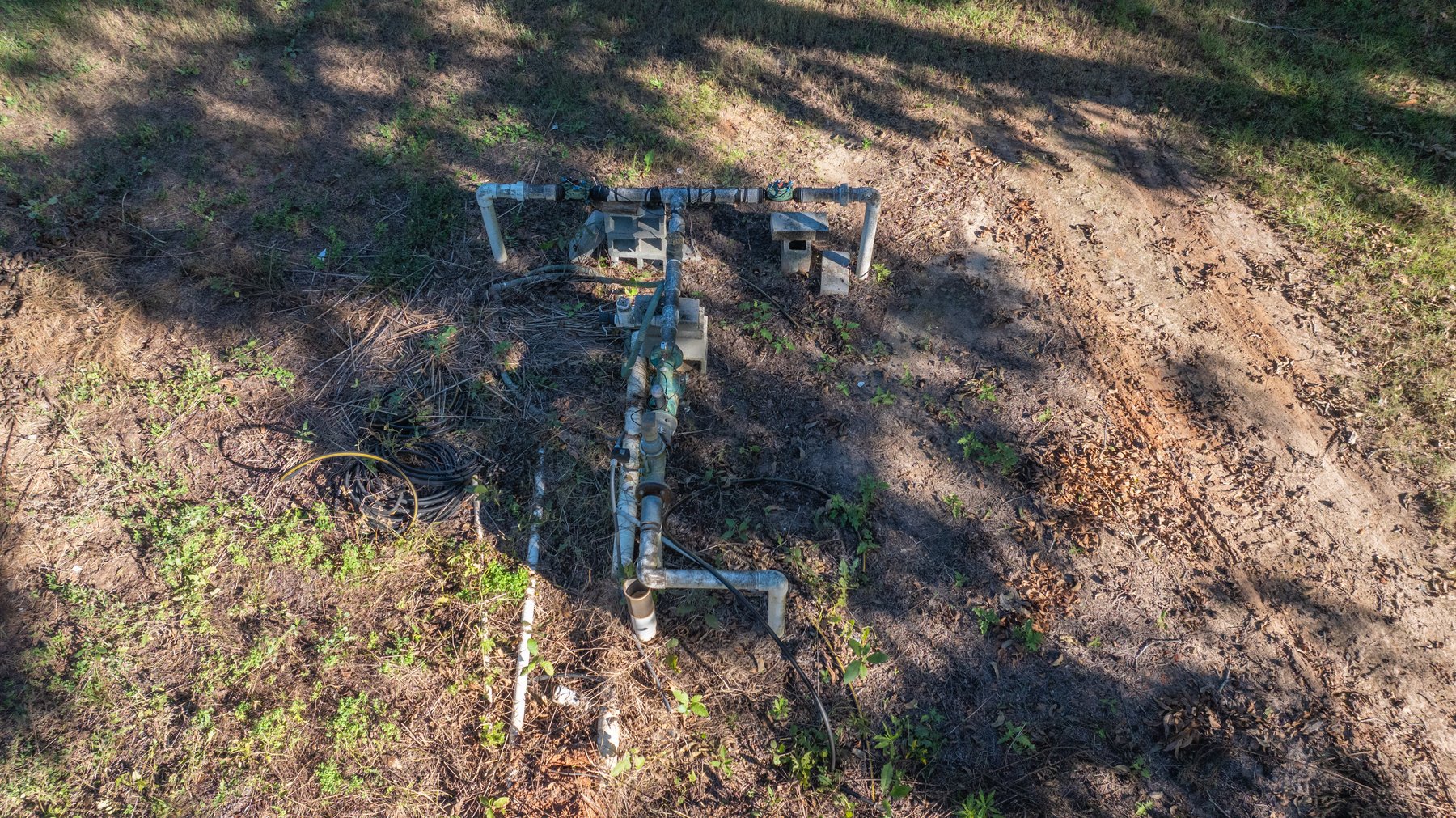 Image for 170+/- Acres - Musgrove Estate - Turn-Key Pecan Operation - Sportsman's Paradise