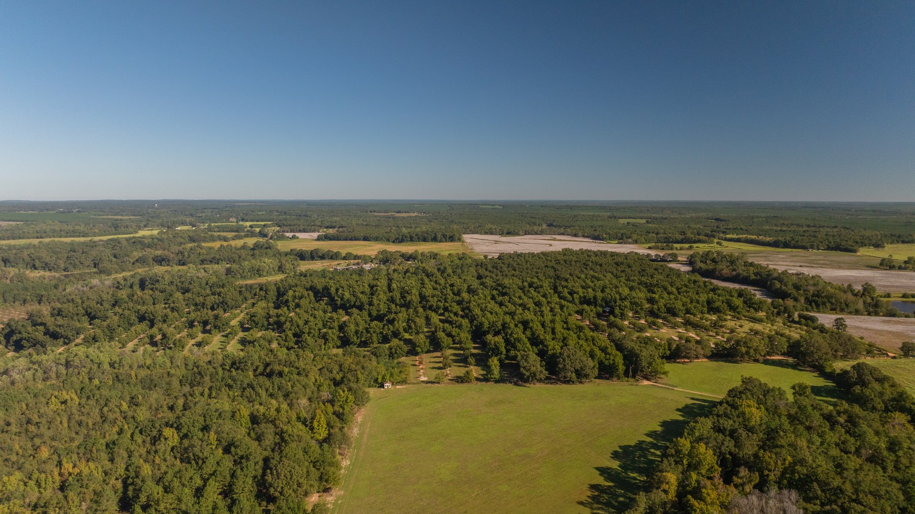 Image for 170+/- Acres - Musgrove Estate - Turn-Key Pecan Operation - Sportsman's Paradise