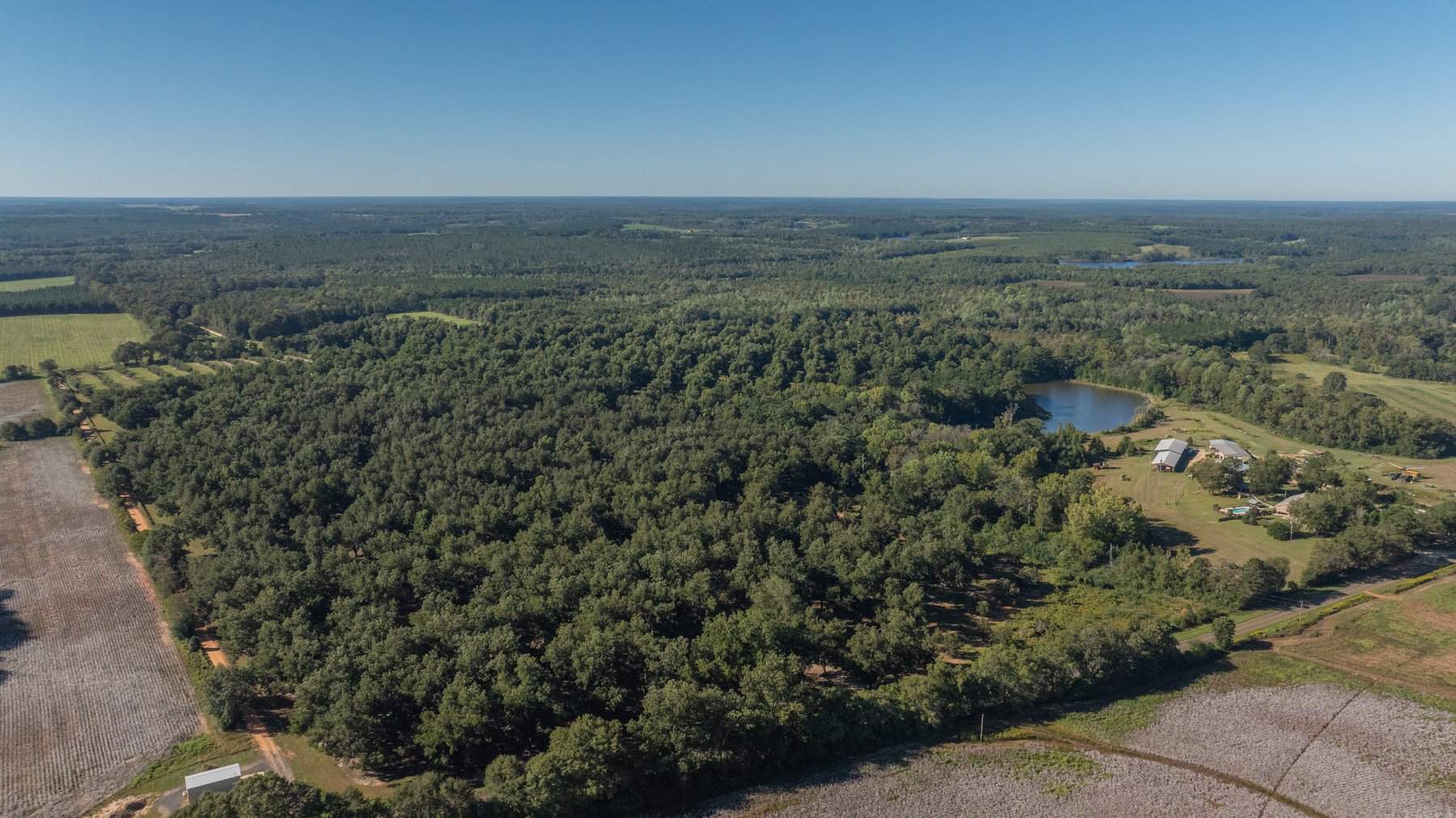 Image for 170+/- Acres - Musgrove Estate - Turn-Key Pecan Operation - Sportsman's Paradise