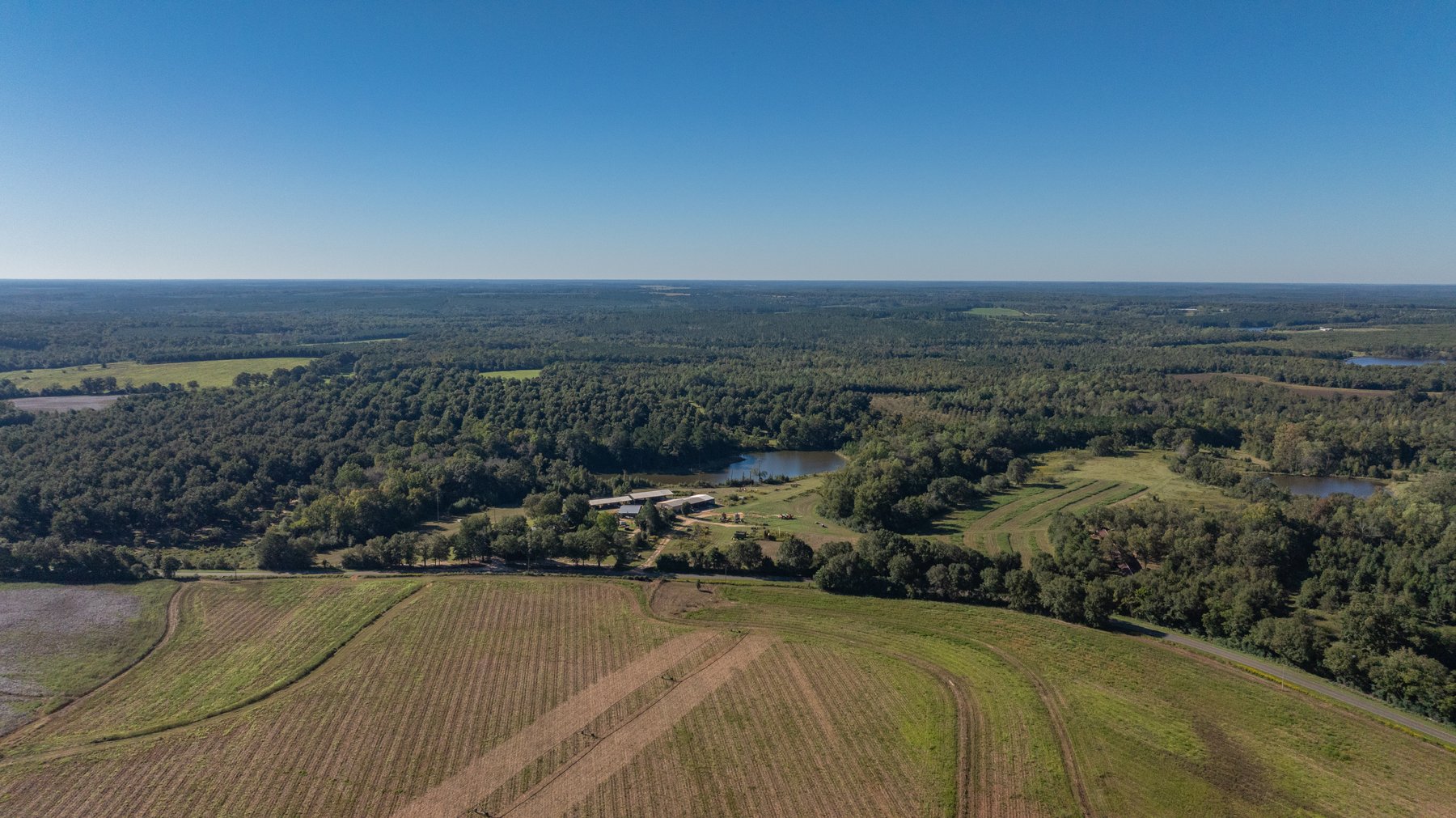 Image for 170+/- Acres - Musgrove Estate - Turn-Key Pecan Operation - Sportsman's Paradise