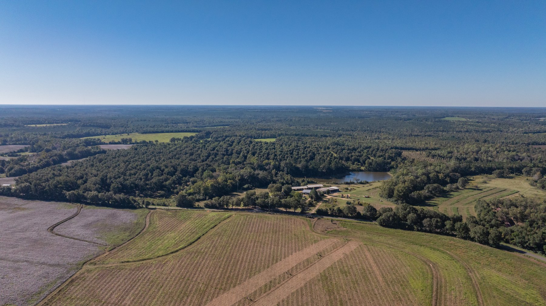 Image for 170+/- Acres - Musgrove Estate - Turn-Key Pecan Operation - Sportsman's Paradise