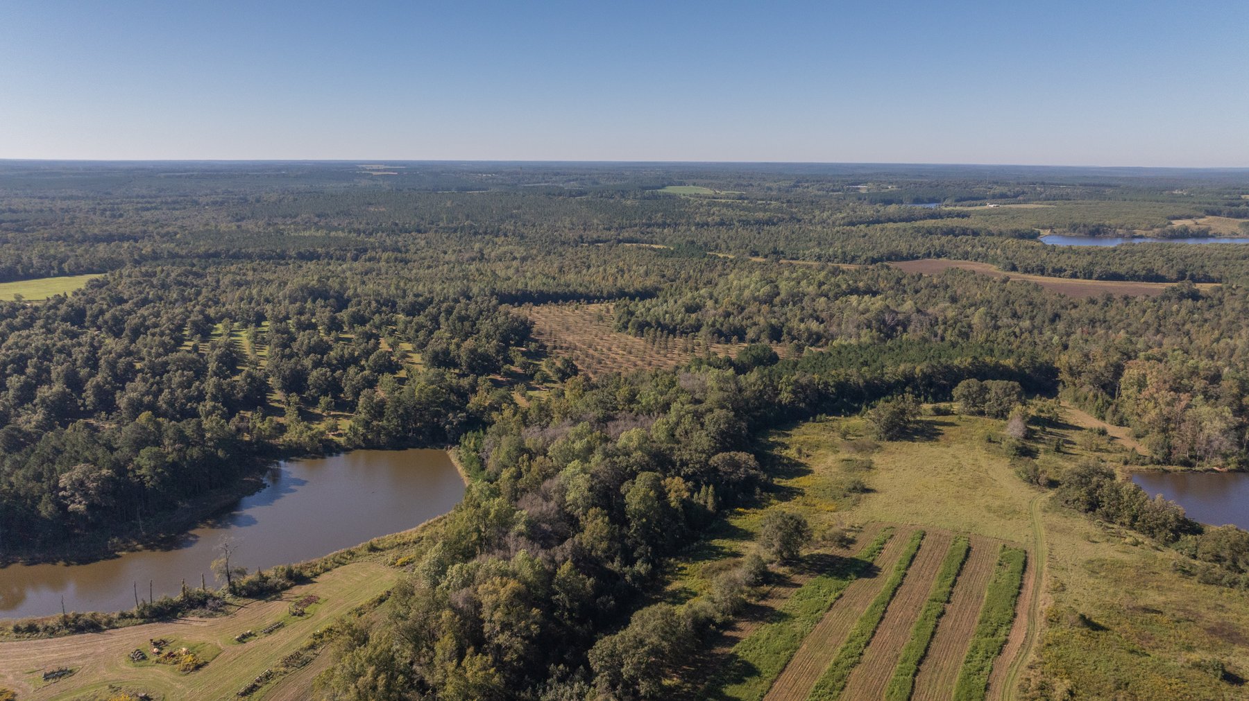 Image for 170+/- Acres - Musgrove Estate - Turn-Key Pecan Operation - Sportsman's Paradise