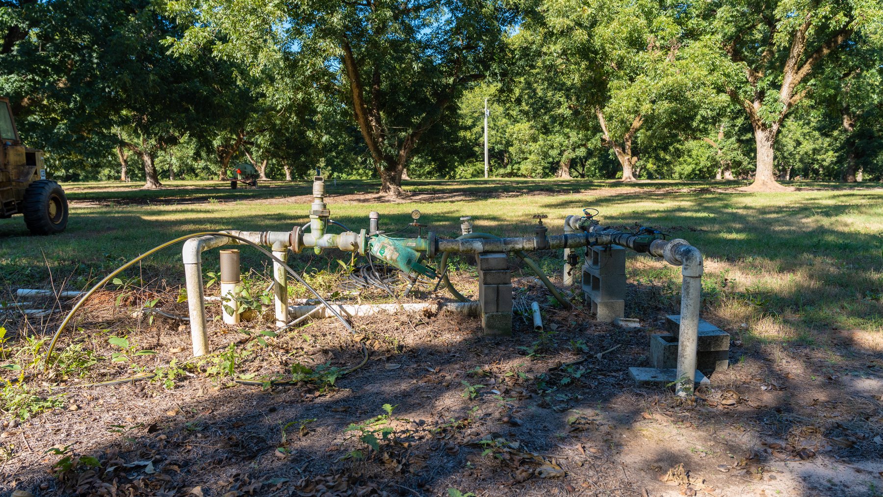 Image for 170+/- Acres - Musgrove Estate - Turn-Key Pecan Operation - Sportsman's Paradise