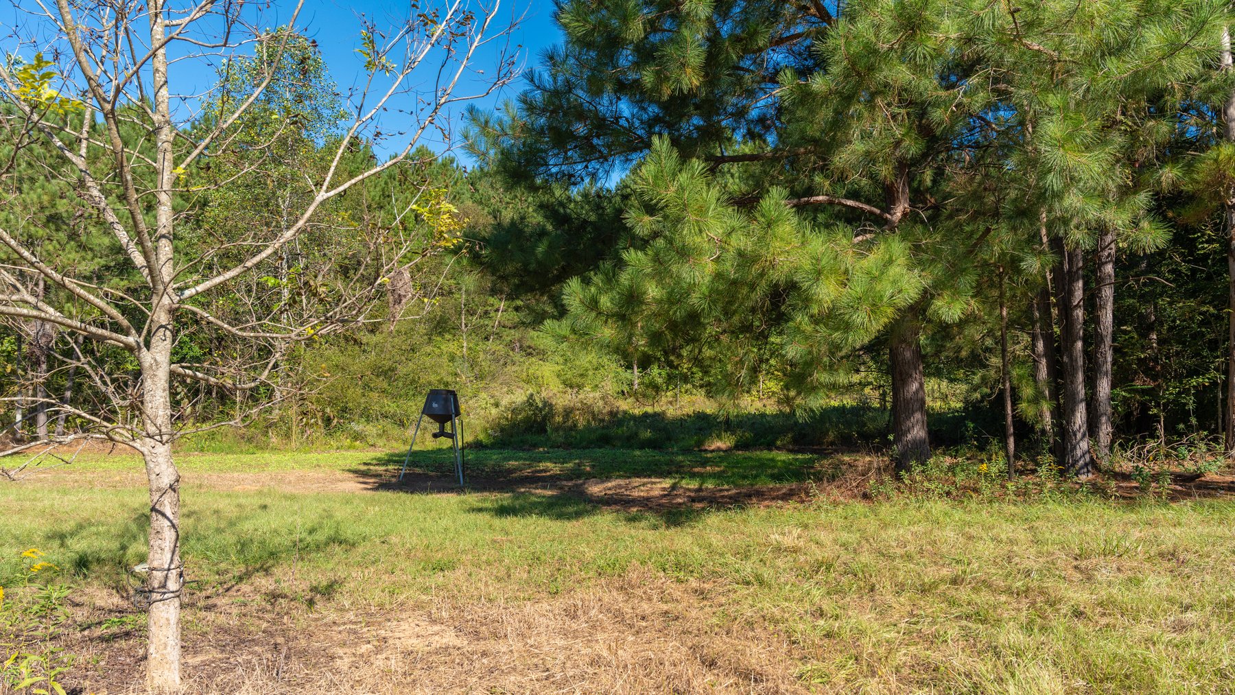 Image for 170+/- Acres - Musgrove Estate - Turn-Key Pecan Operation - Sportsman's Paradise