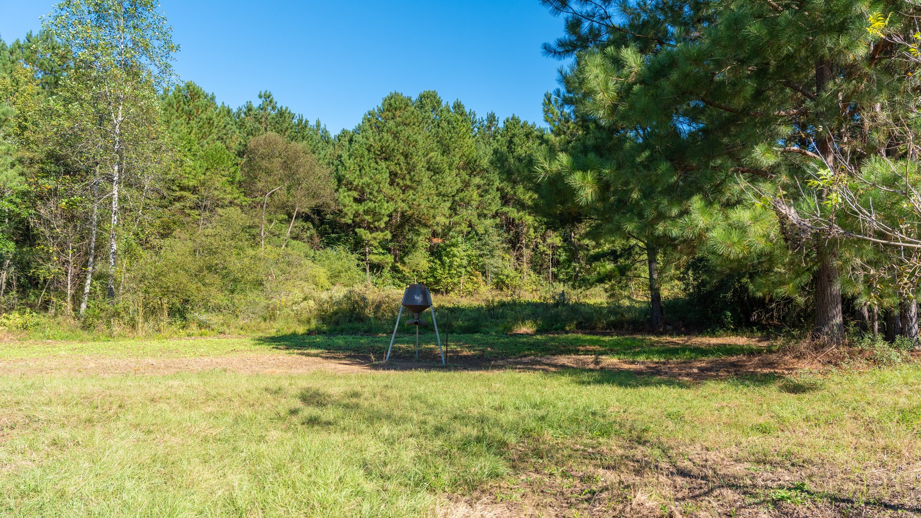 Image for 170+/- Acres - Musgrove Estate - Turn-Key Pecan Operation - Sportsman's Paradise