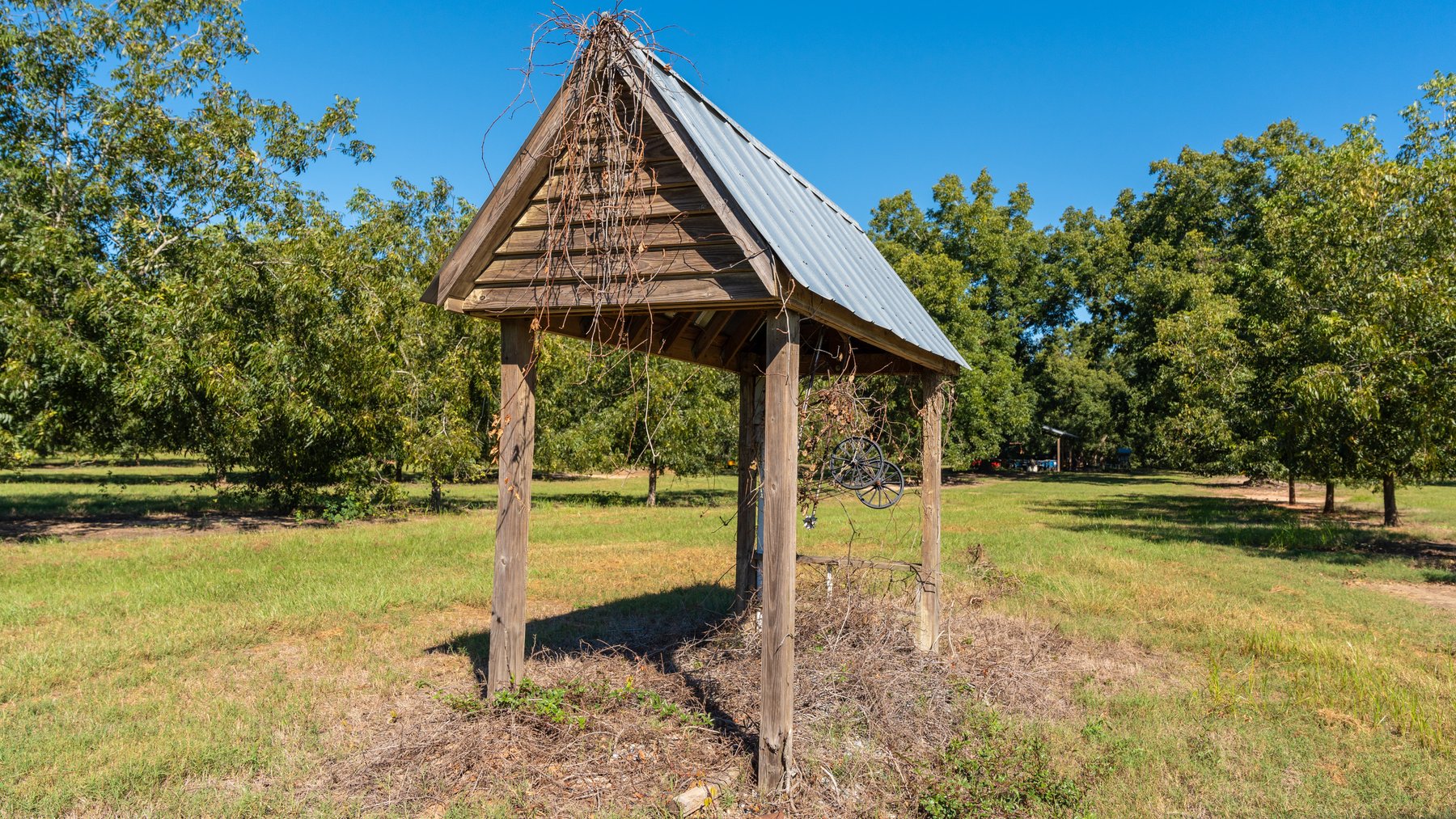 Image for 170+/- Acres - Musgrove Estate - Turn-Key Pecan Operation - Sportsman's Paradise