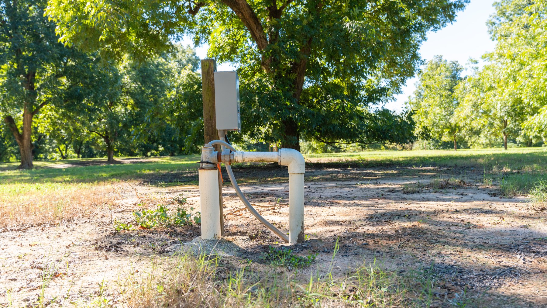 Image for 170+/- Acres - Musgrove Estate - Turn-Key Pecan Operation - Sportsman's Paradise